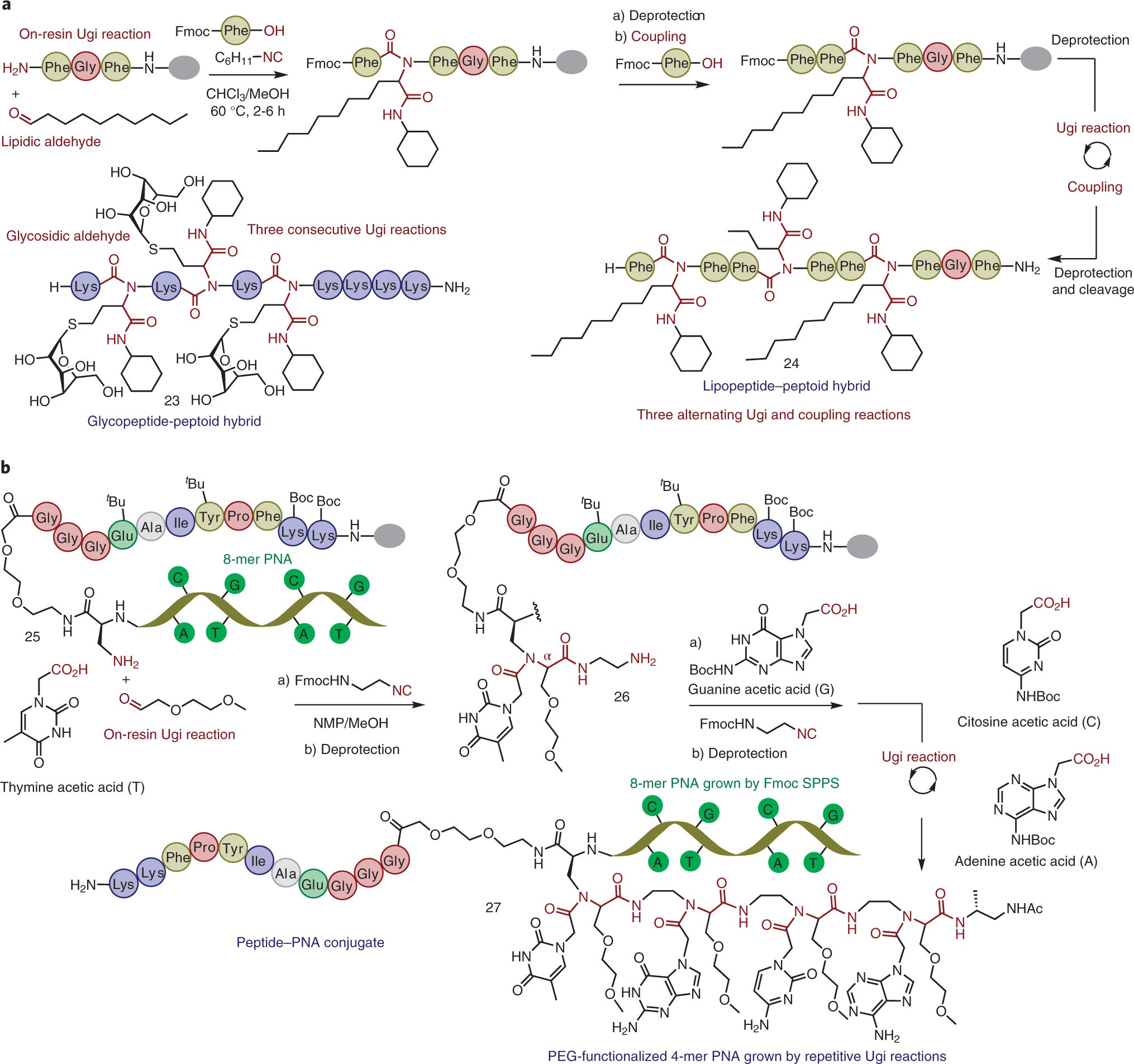 Fig. 9: On-resin strategies based on repetitive Ugi reactions.