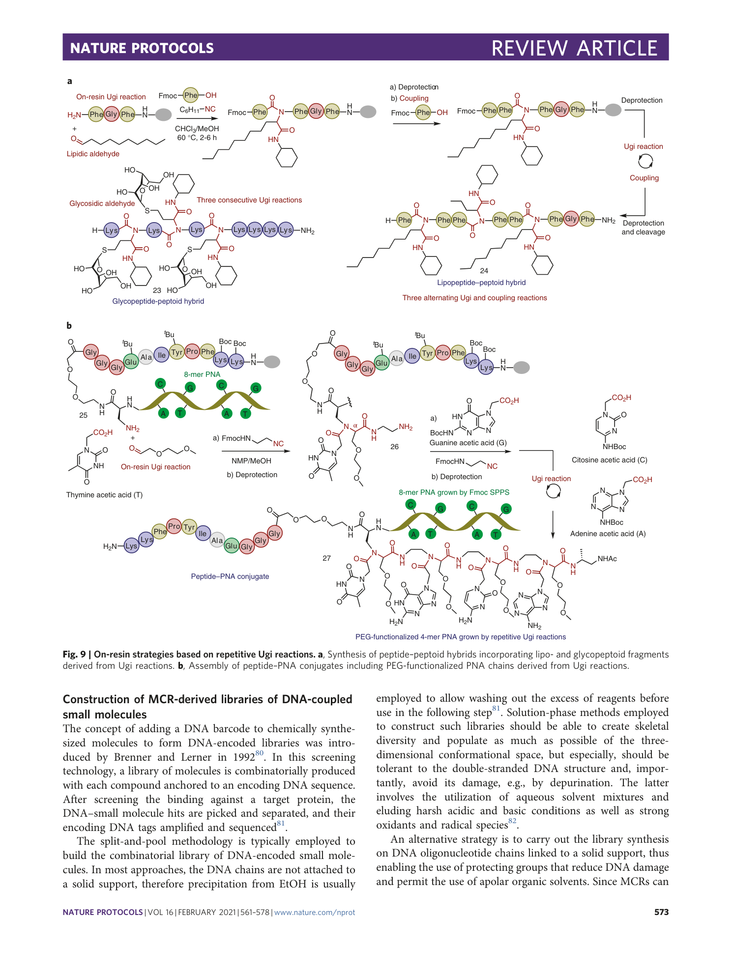 page-13