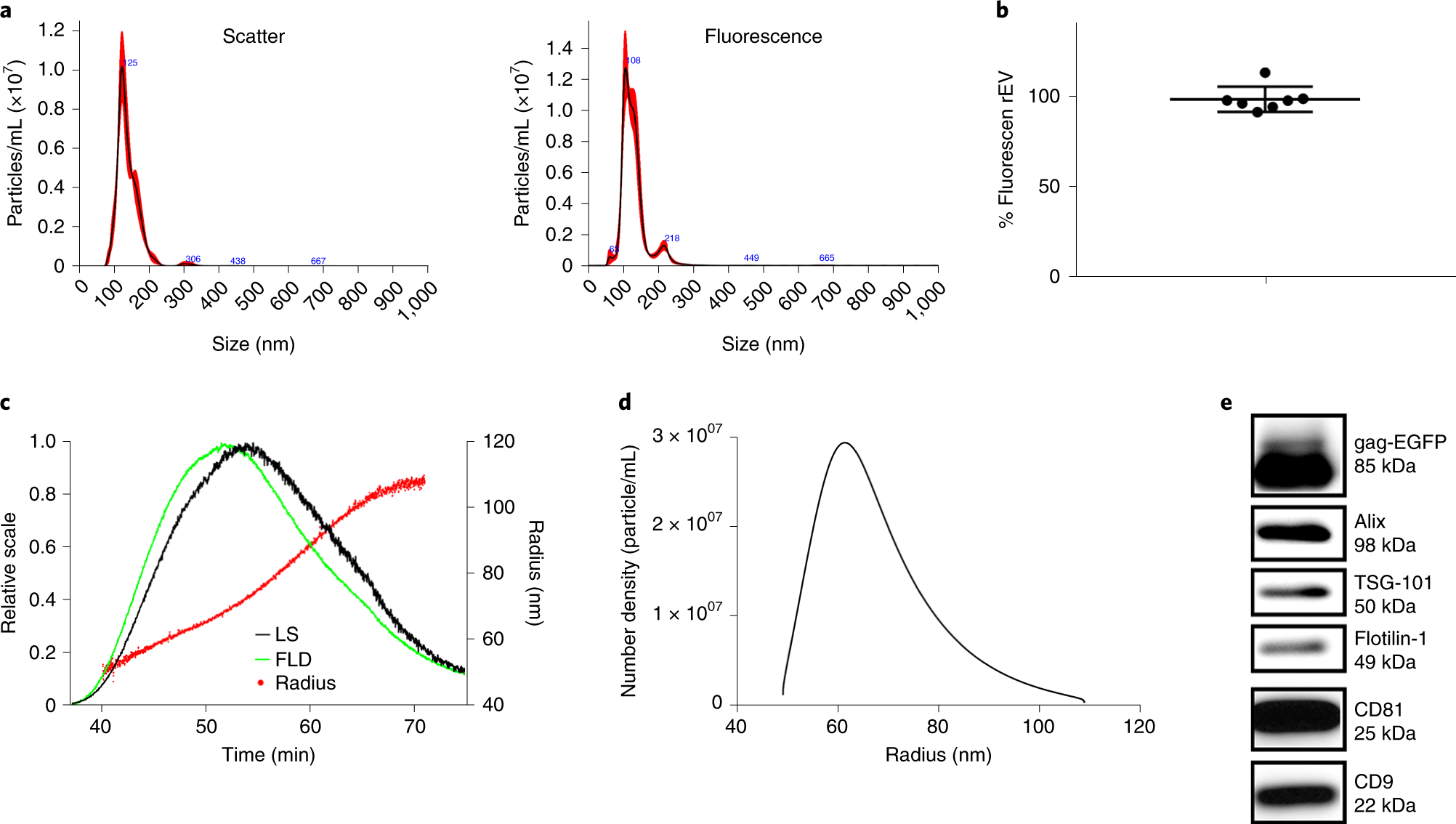 Fig. 4: Characterization of rEV using complementary methods.