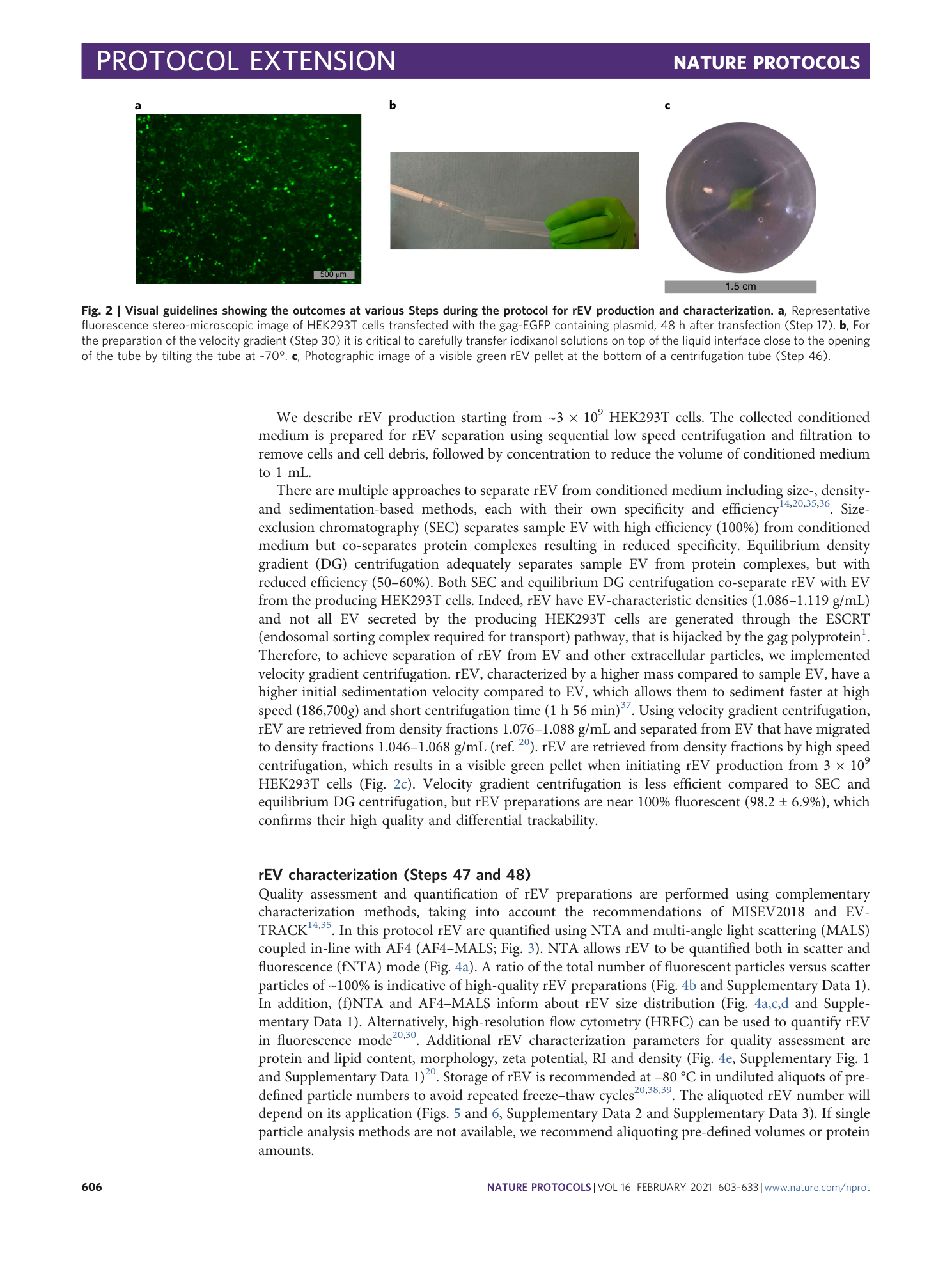 page-4