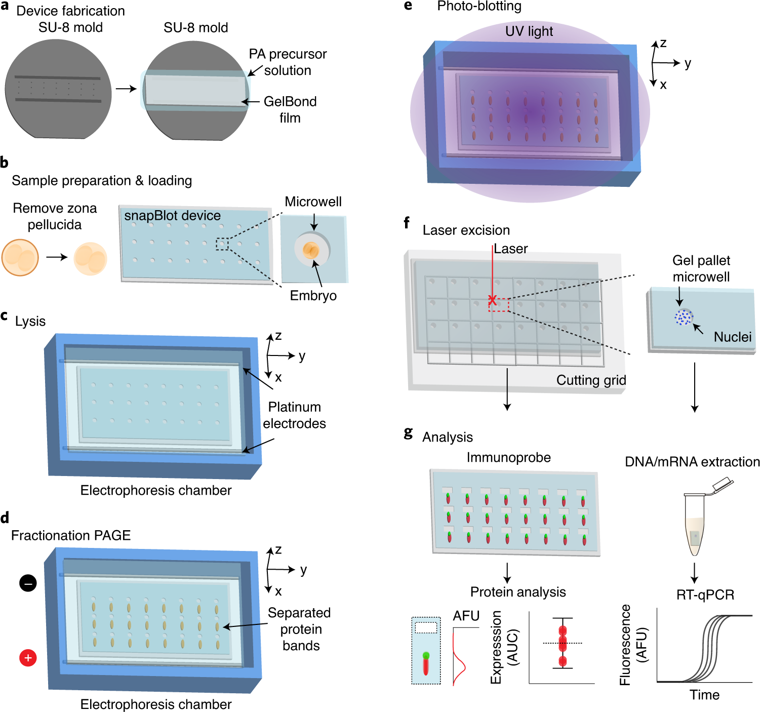 Fig. 1: Overview of the snapBlot technique.