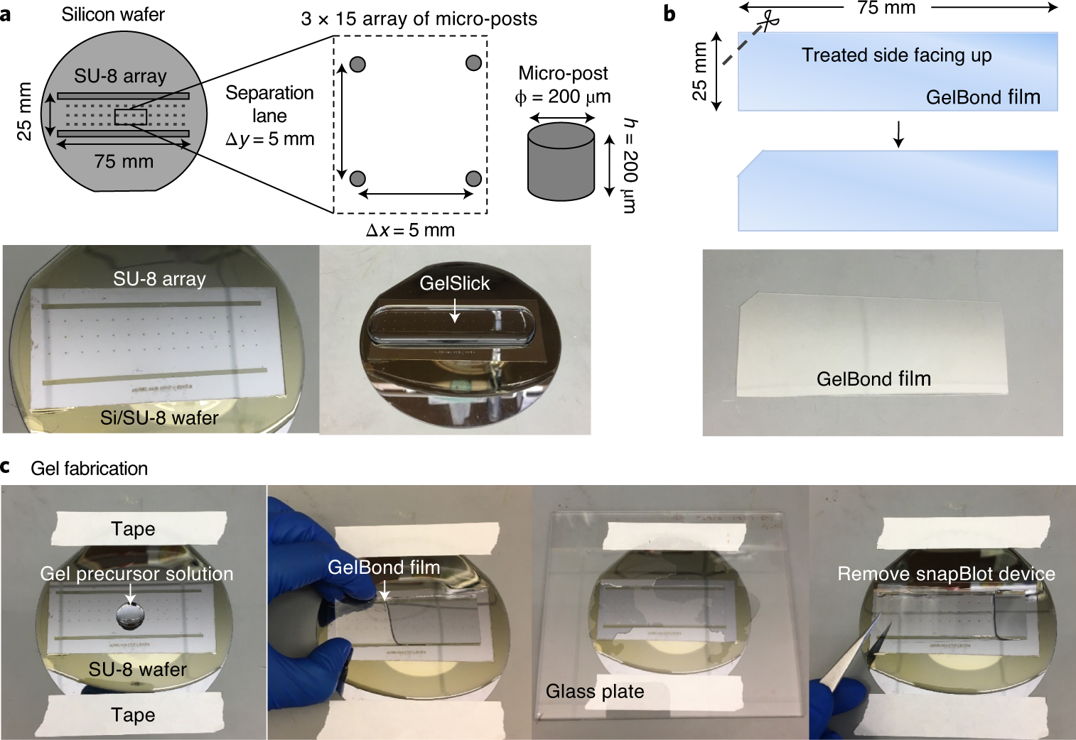 Fig. 2: Gel fabrication.