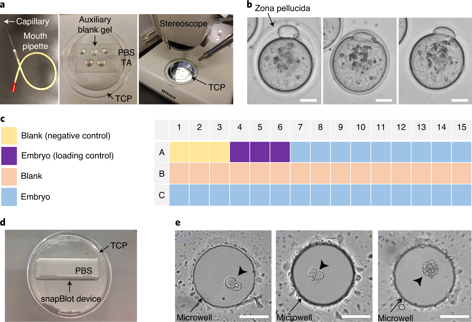 Fig. 3: Embryo sample preparation and loading.