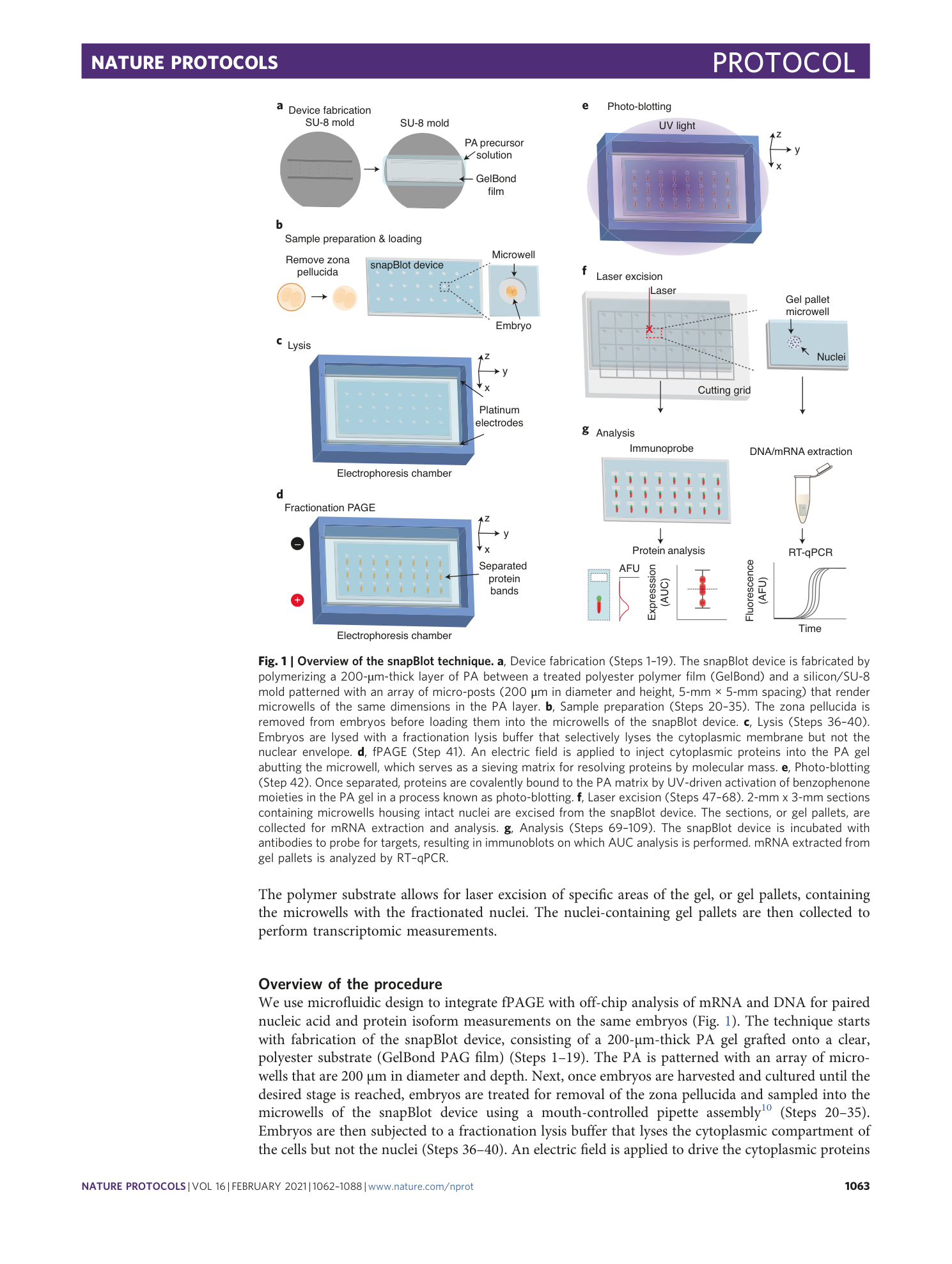 page-2