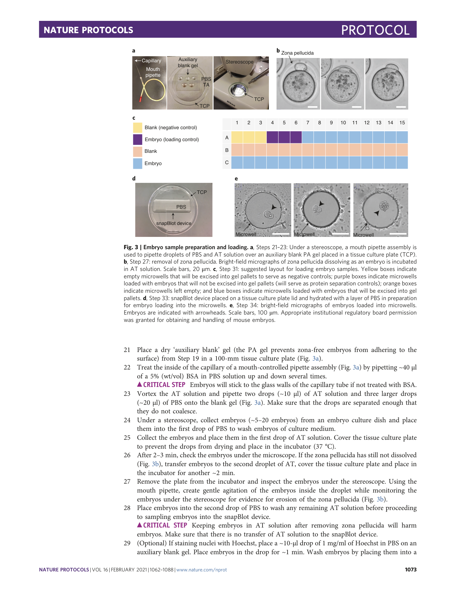 page-12