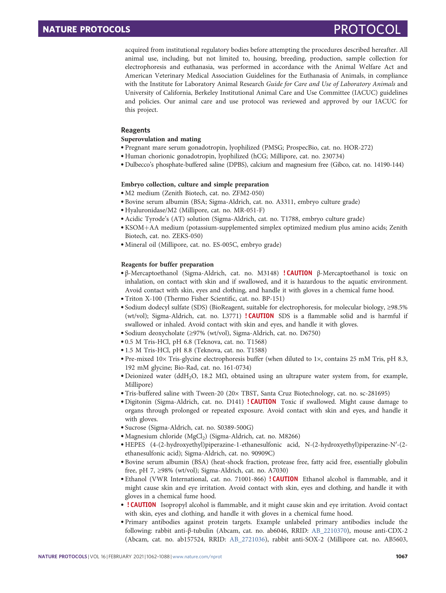 page-6