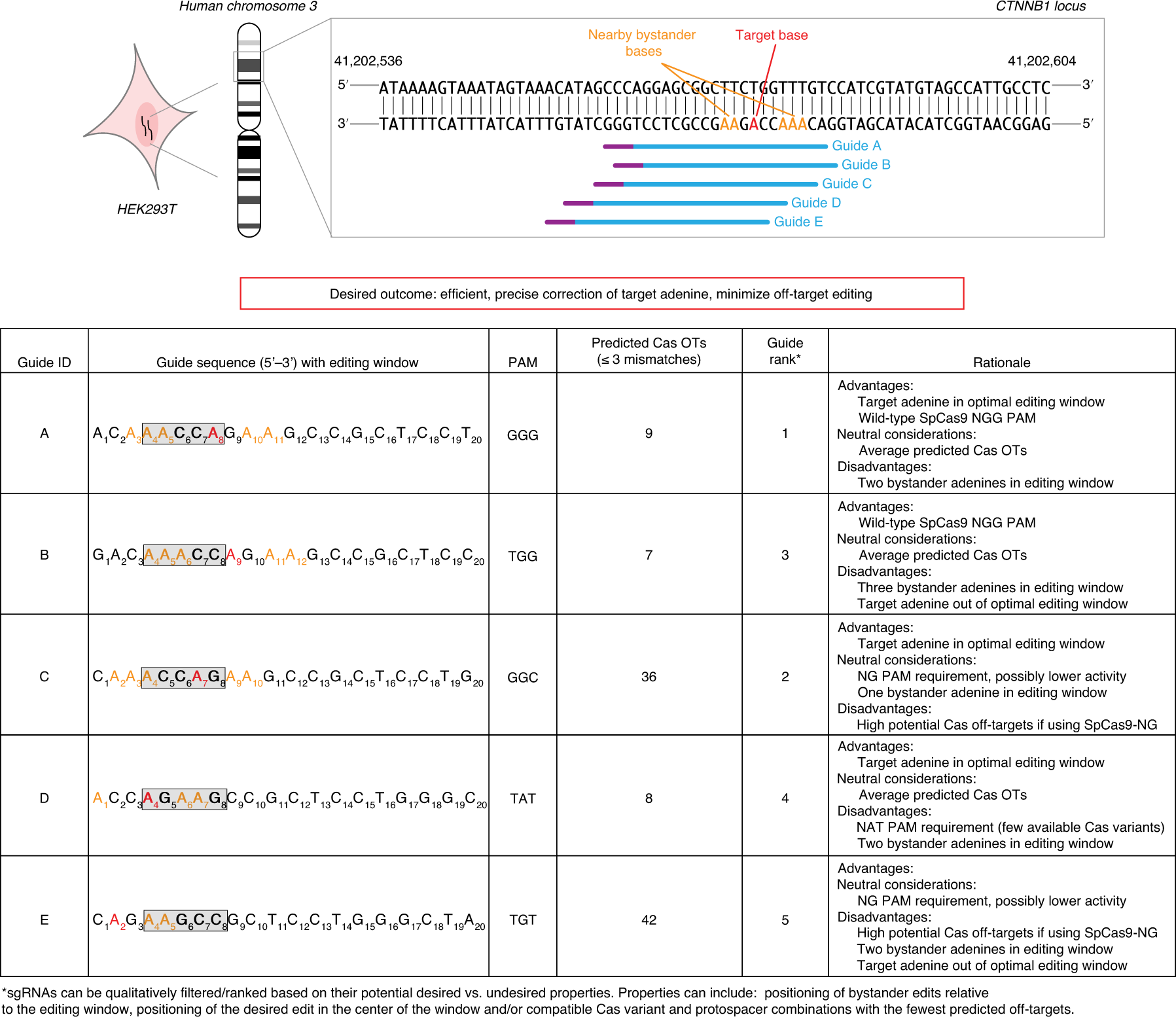 Fig. 3: Example base-editing target selection.