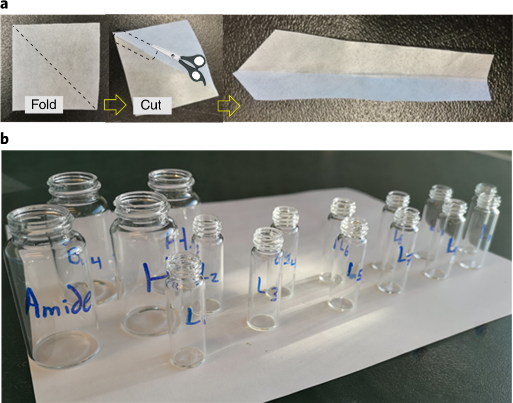 Fig. 5: Preparation for high-throughput experimentation.