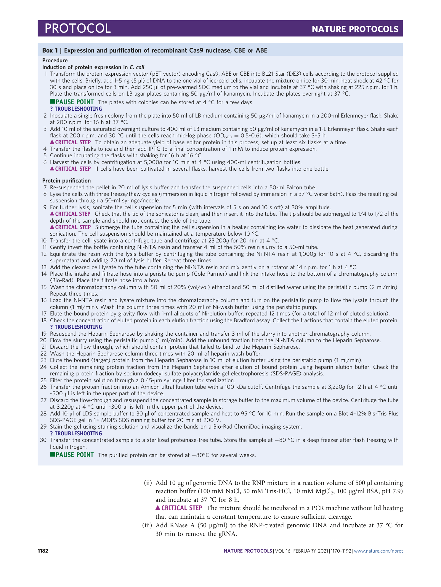 page-13