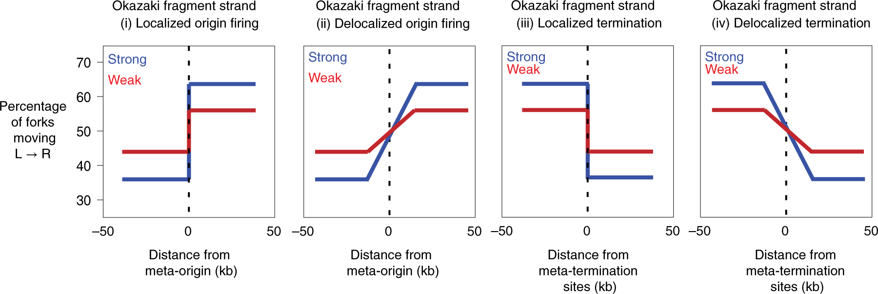Fig. 2: Schematic representation of expected Okazaki fragment distributions for replication initiation and termination sites.