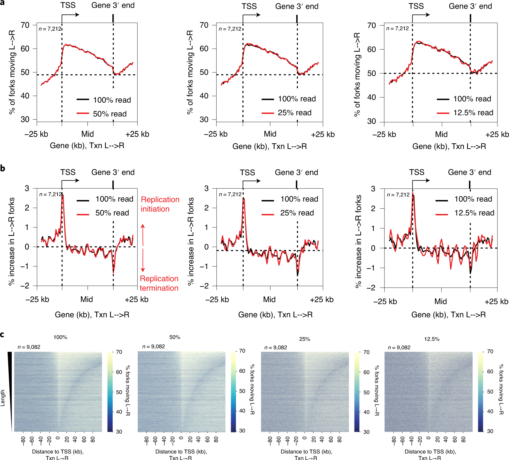 Fig. 3: Anticipated results from RPE-1 cells.
