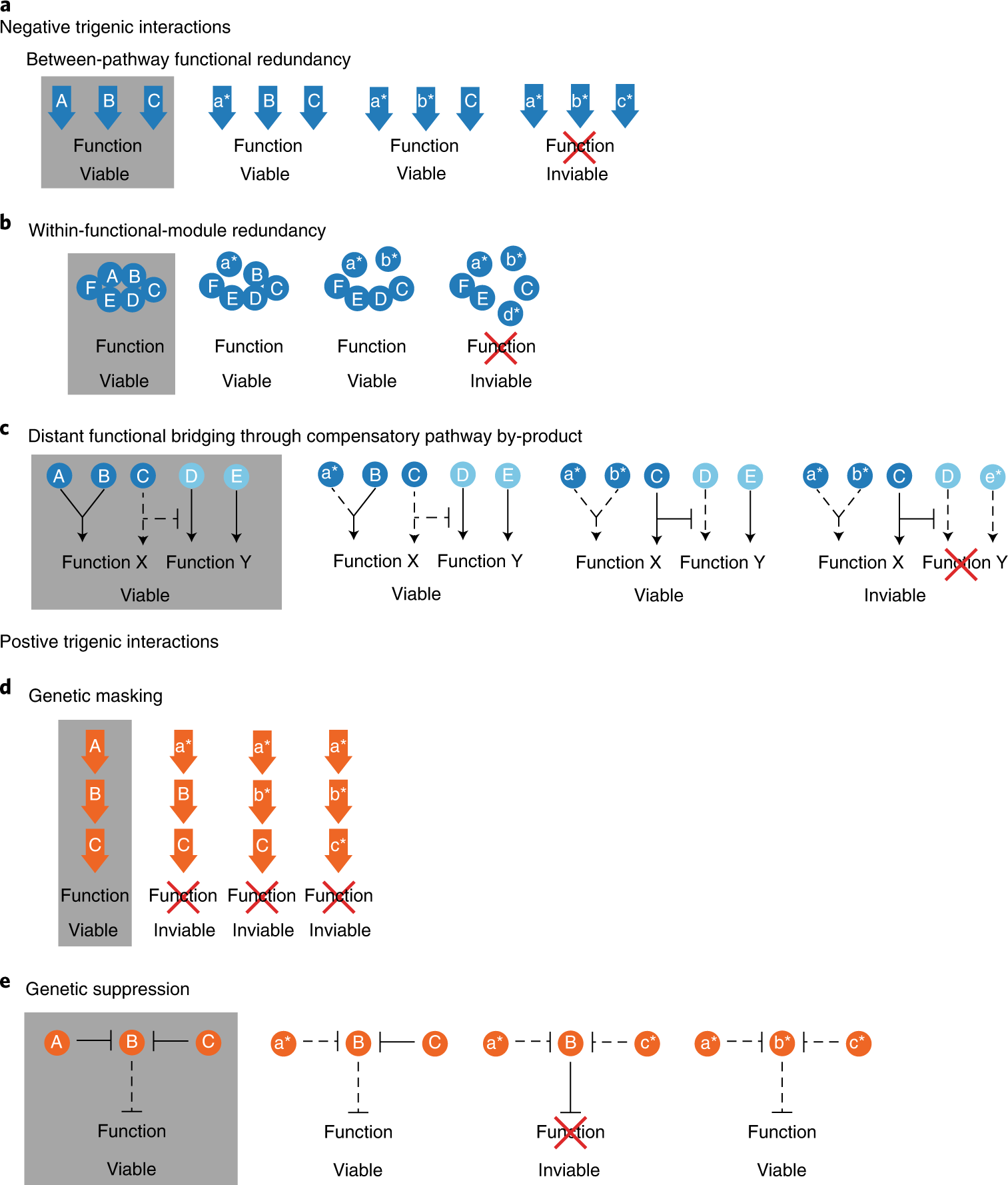Fig. 2: Classes of trigenic interactions.