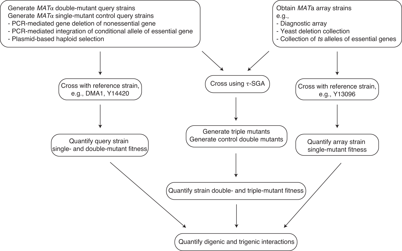 Fig. 3: An overview of the τ-SGA experimental pipeline.