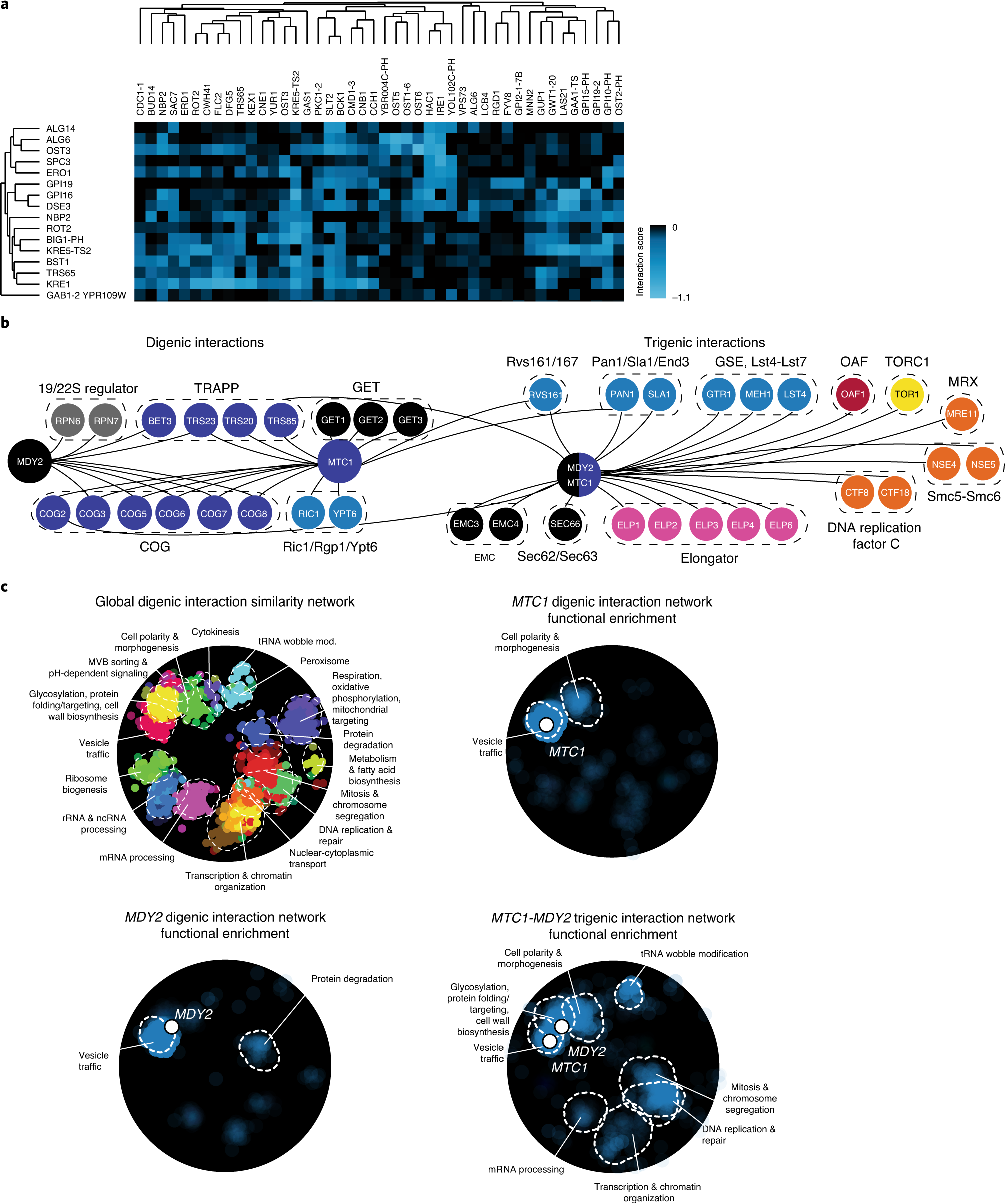 Fig. 8: Representative examples of clustering and visualization of τ-SGA scores.