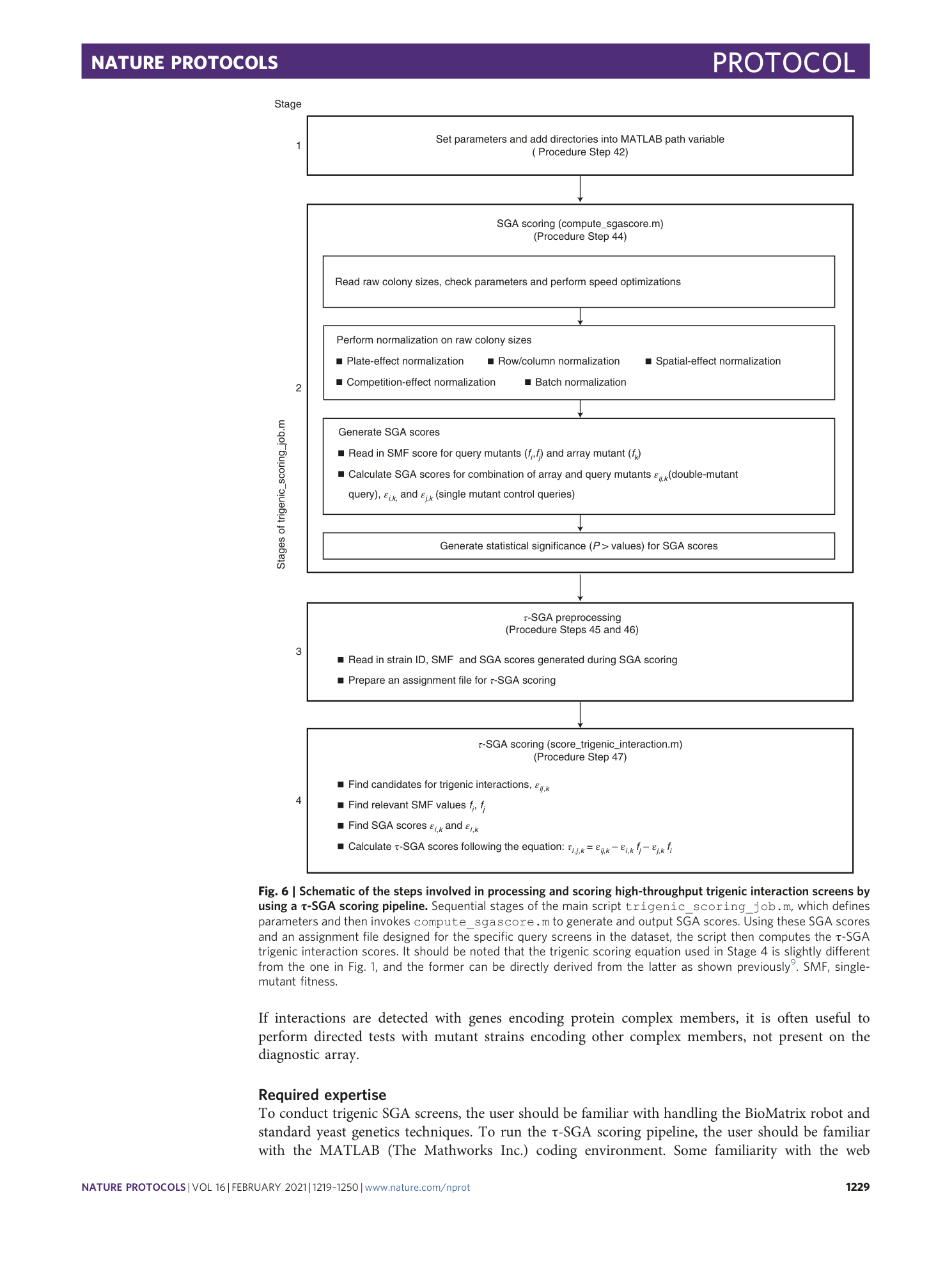 page-11