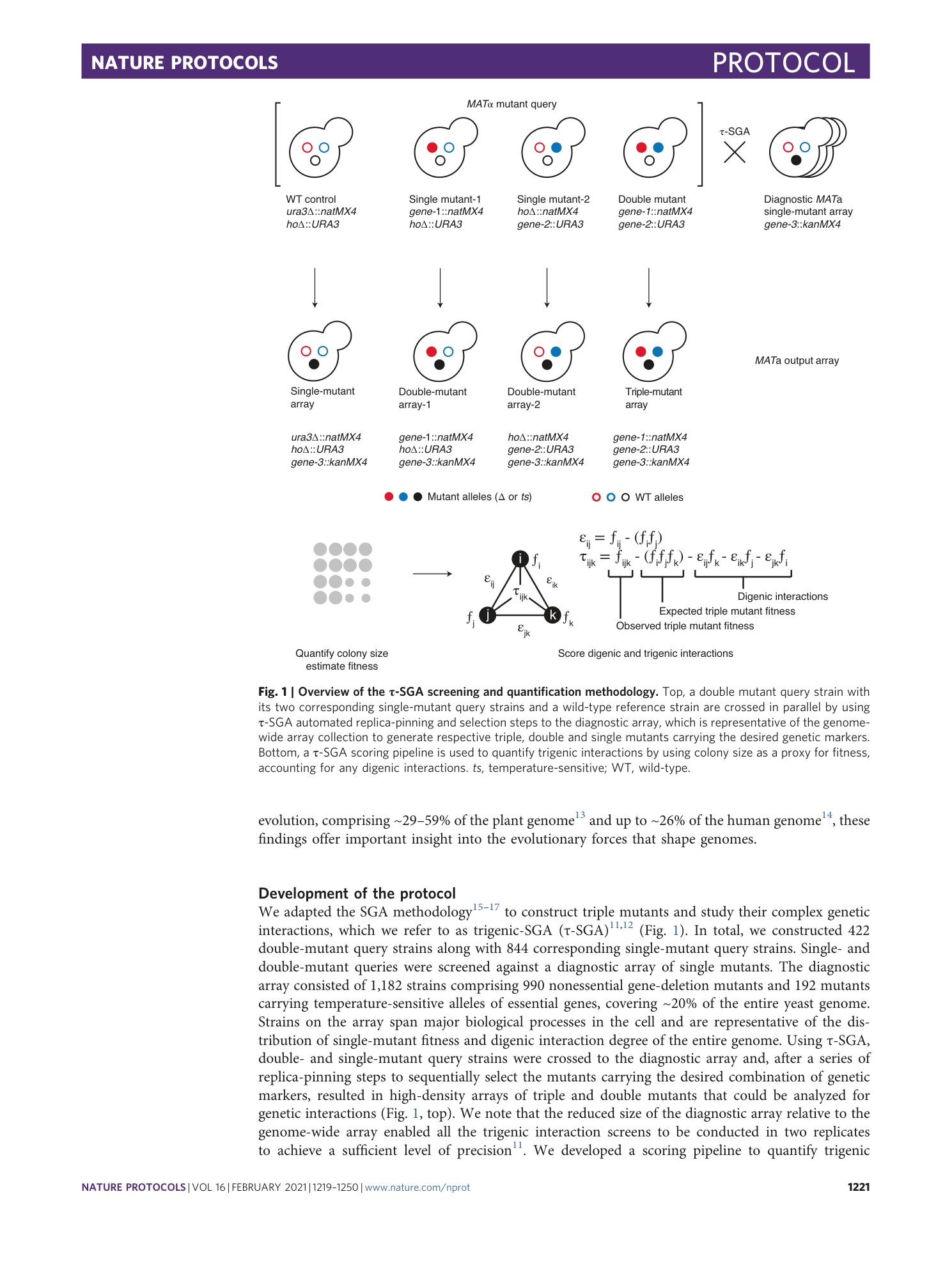 page-3