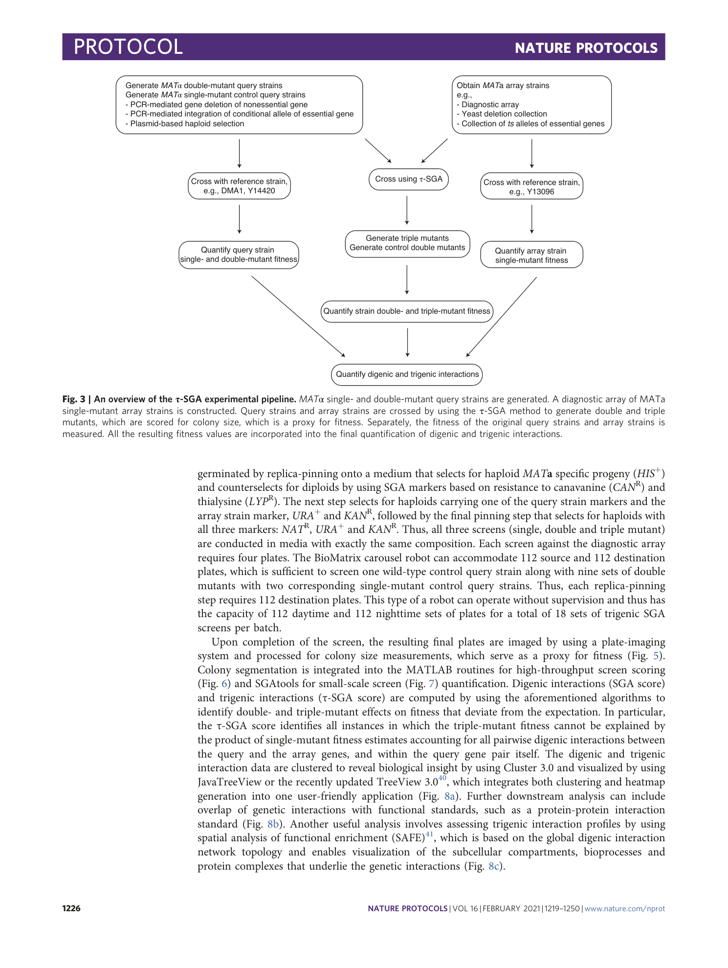 page-8