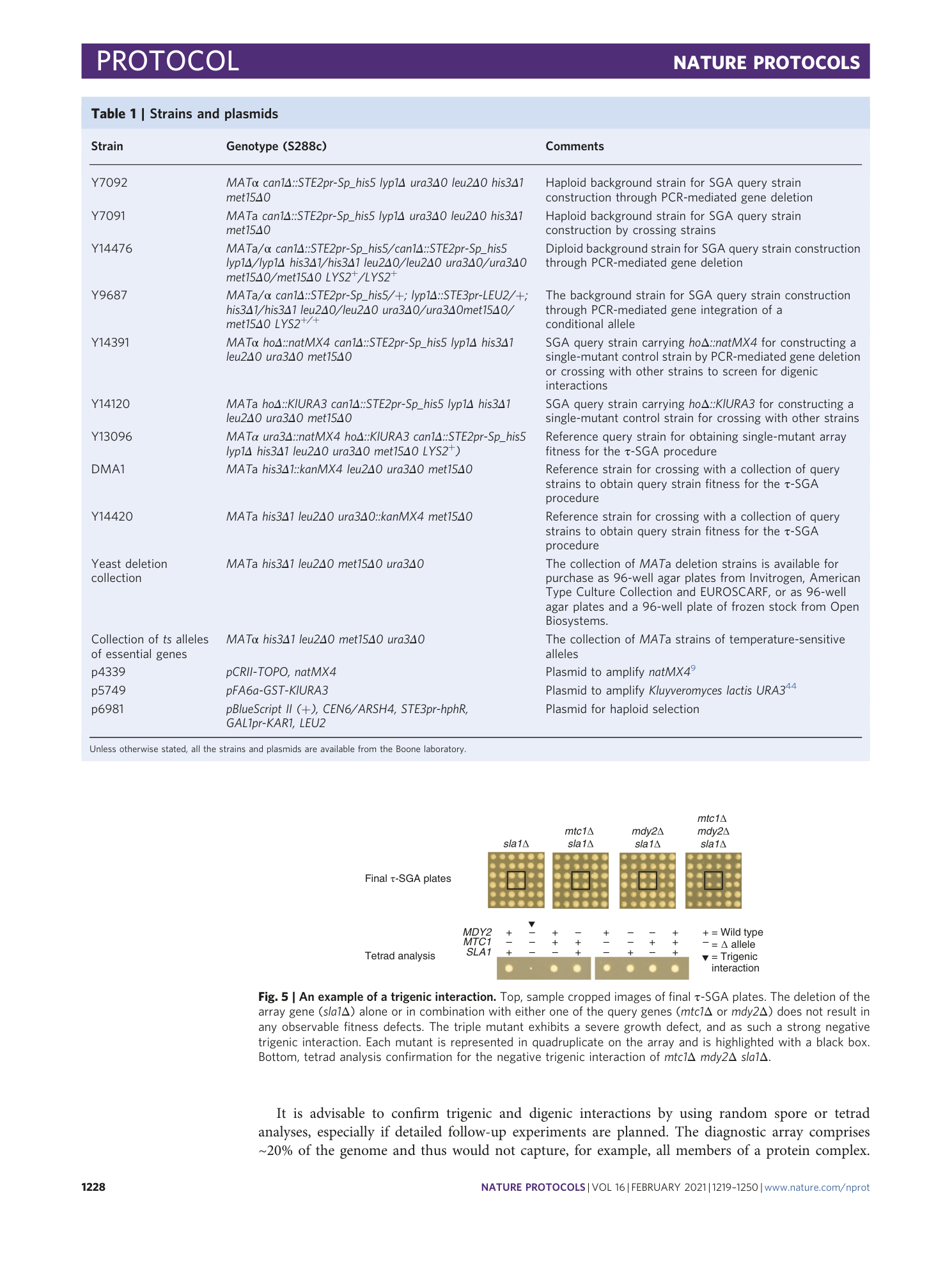 page-10