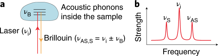 Fig. 1: Principle of spontaneous Brillouin scattering.