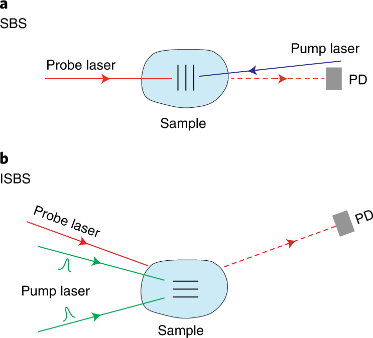 Fig. 2: Schematics of SBS and ISBS.