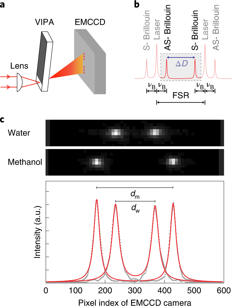 Fig. 4: Brillouin spectrum acquisition and calibration.