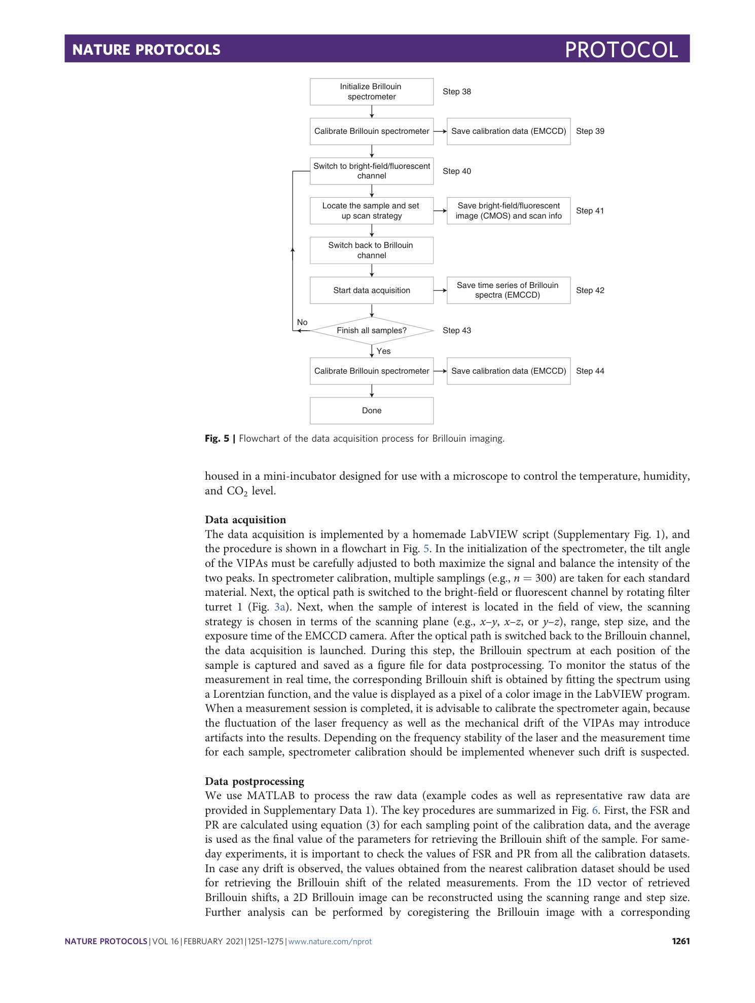 page-11