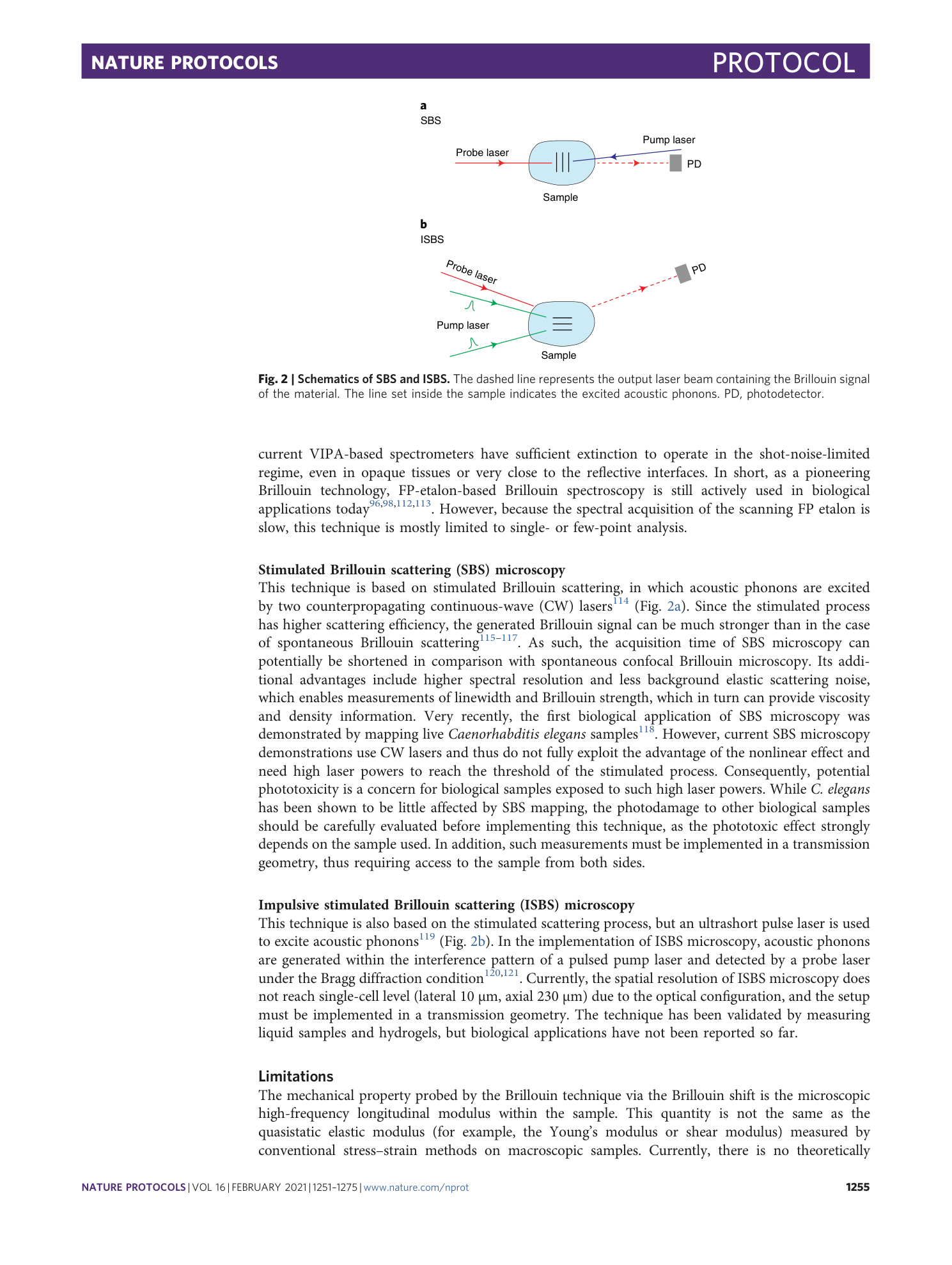 page-5