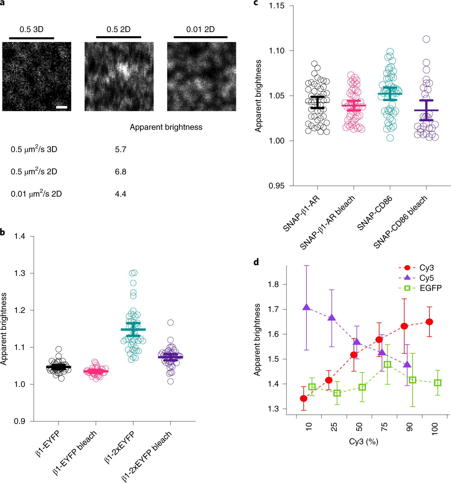 Fig. 3: Partial photobleaching experiments in reference constructs.