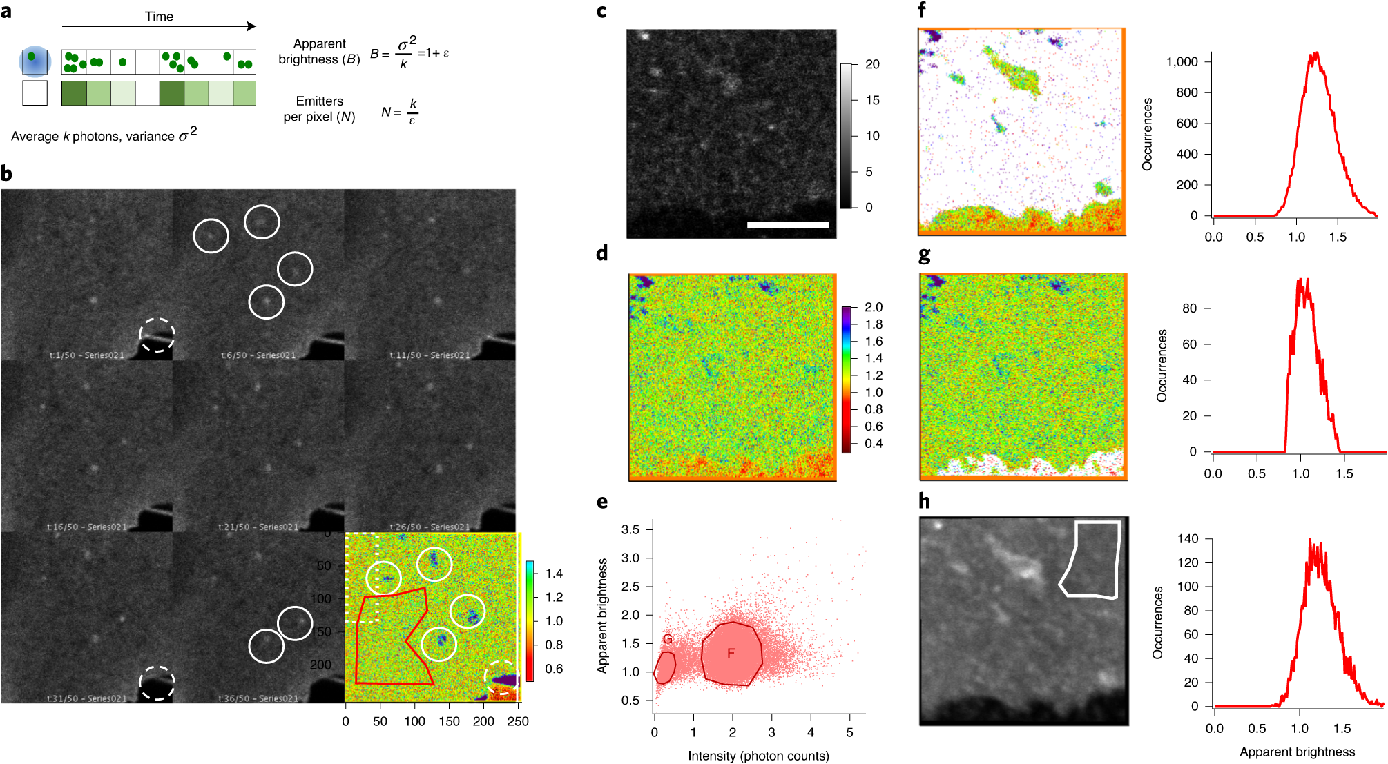 Fig. 4: Example of a temporal brightness experiment.