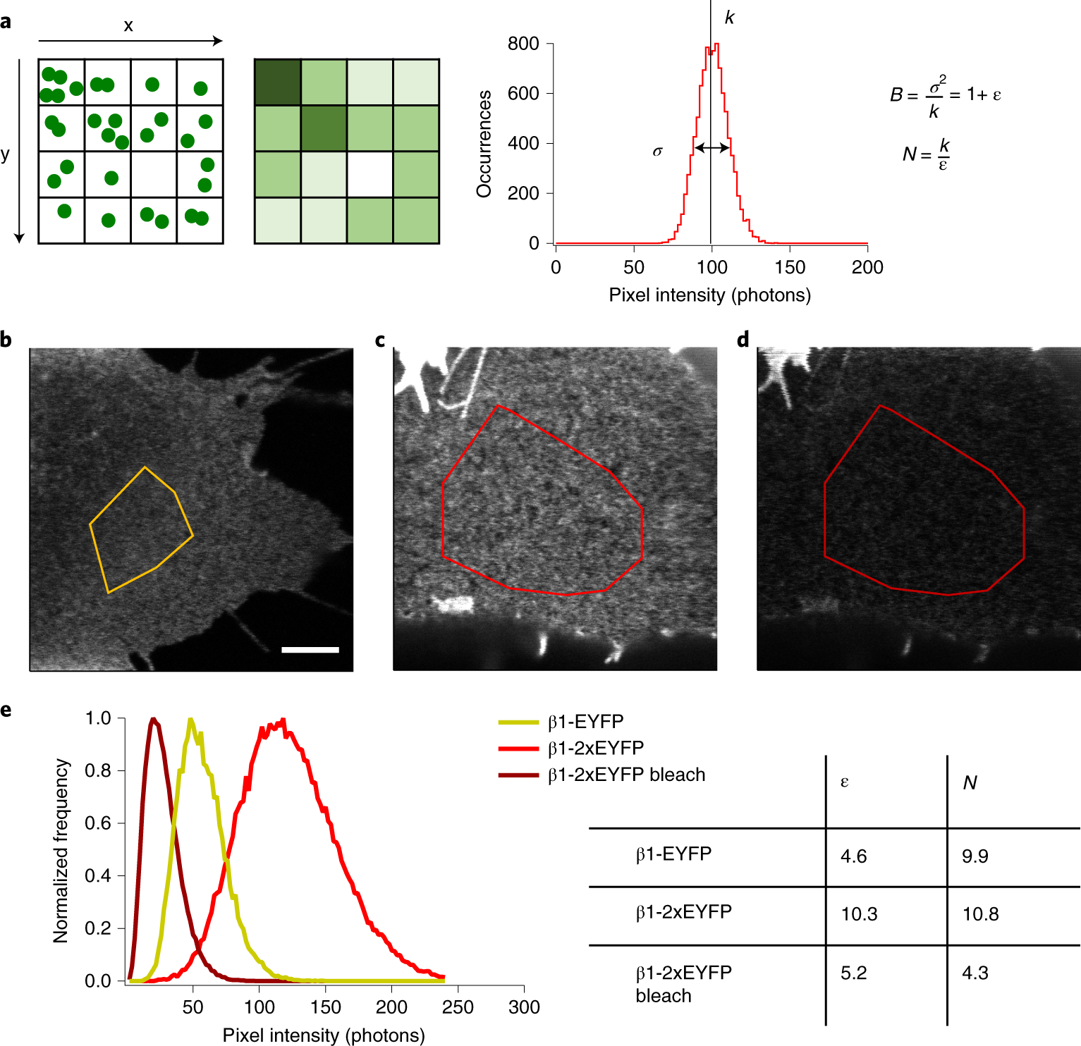 Fig. 5: Example of a spatial brightness experiment.