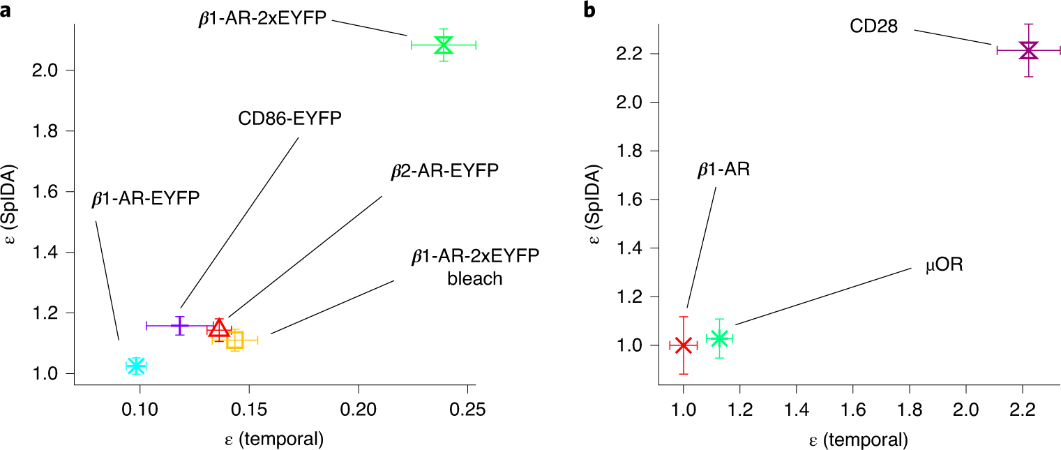 Fig. 7: Labeling efficiency and 2D map of GPCR oligomerization behavior.