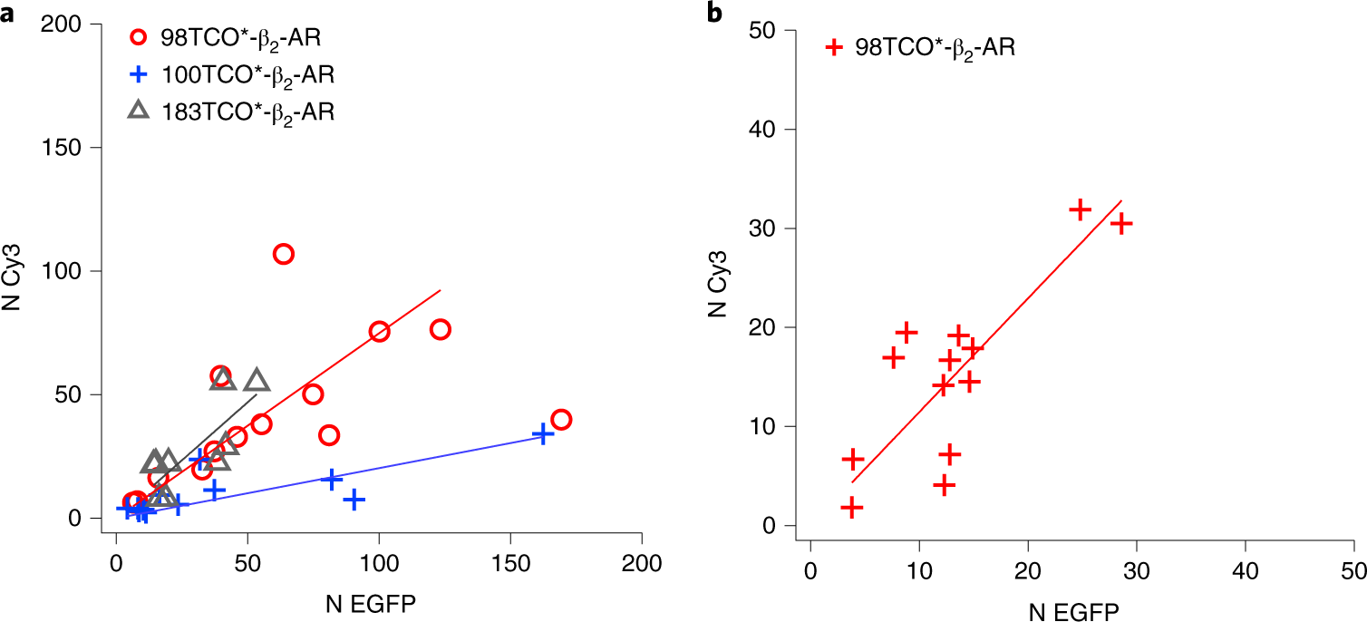 Fig. 8: Application of our approach to screen the efficiency of bio-orthogonal labeling of β2-AR.