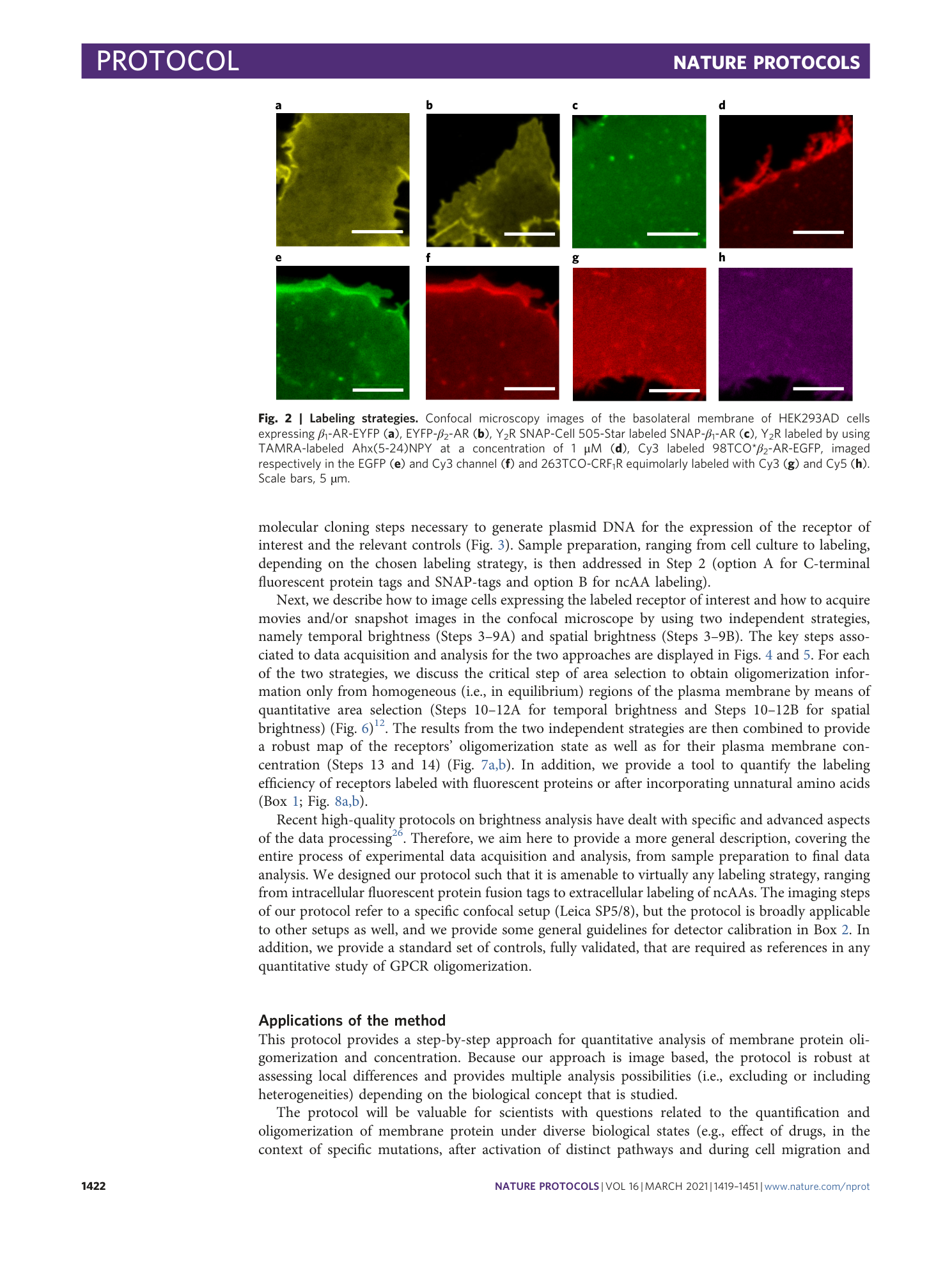 page-4