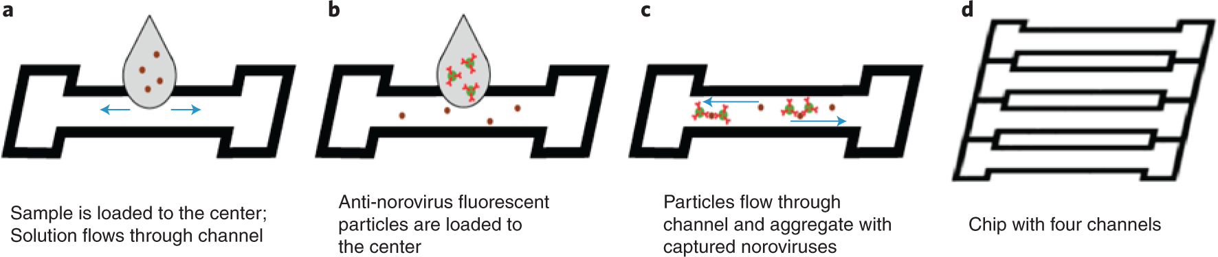 Fig. 2: Outline of the protocol.