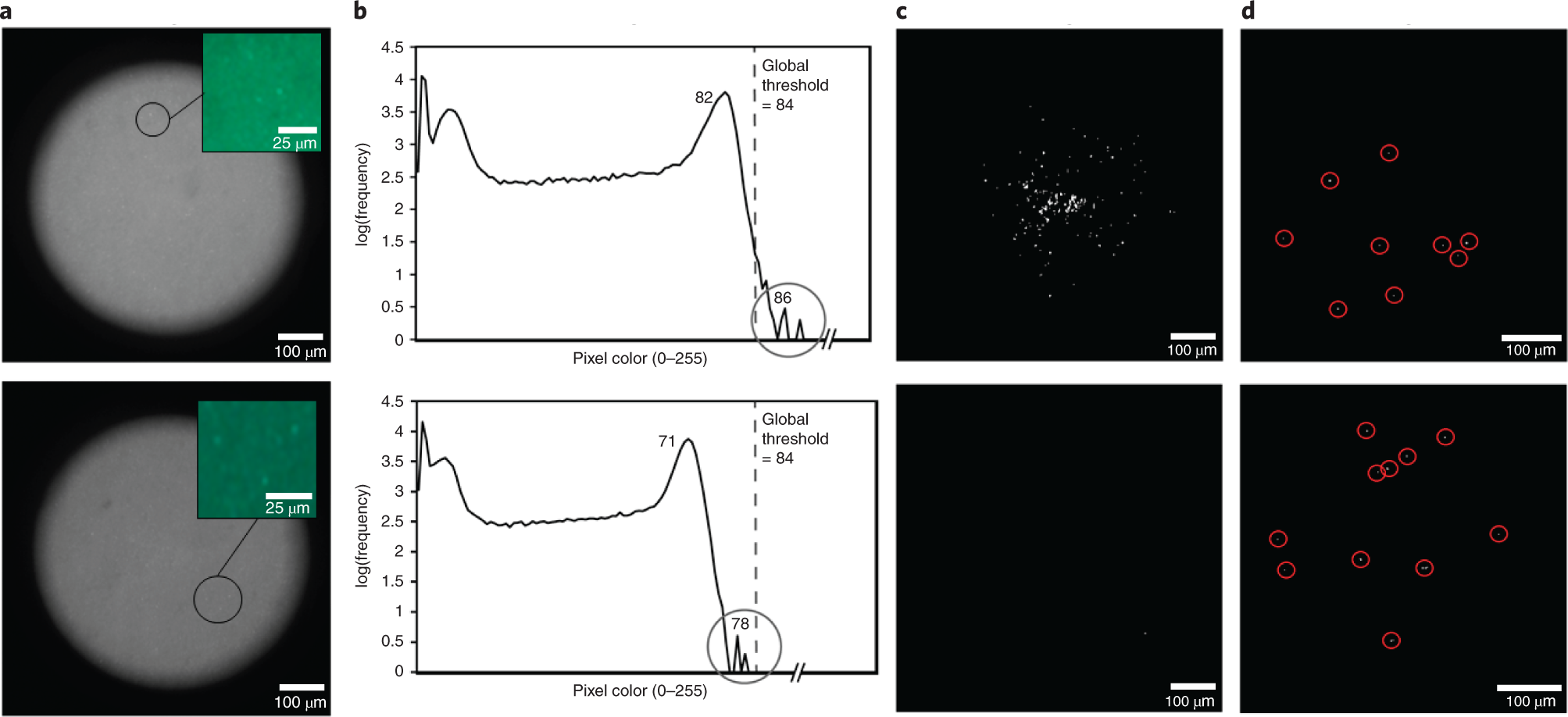Fig. 5: Adaptive thresholding.
