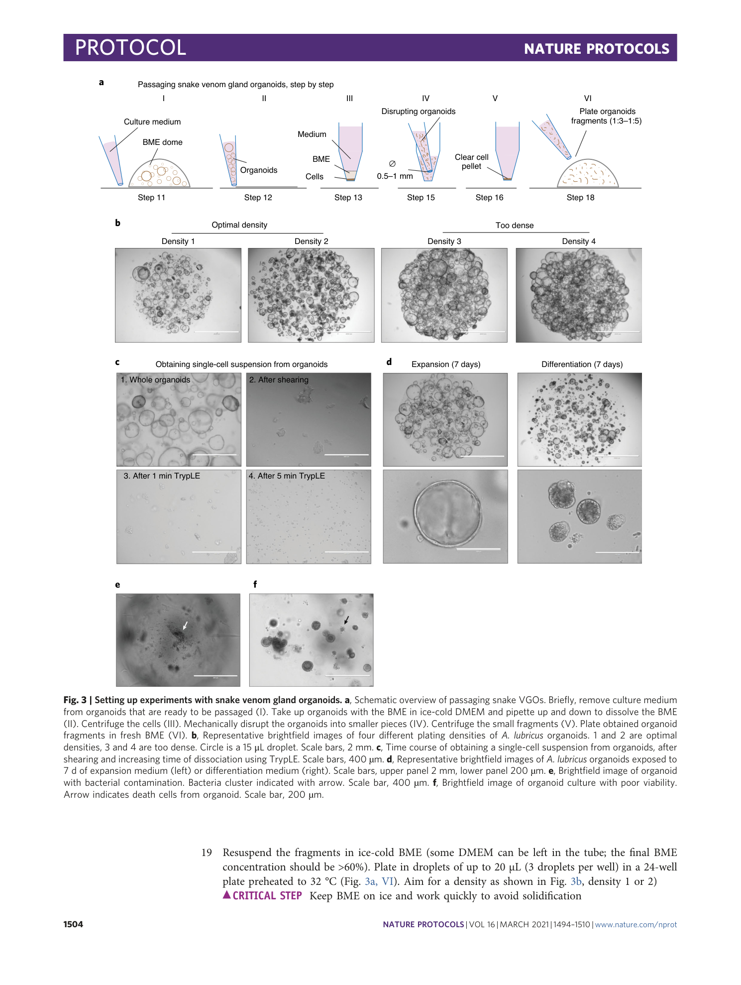page-11