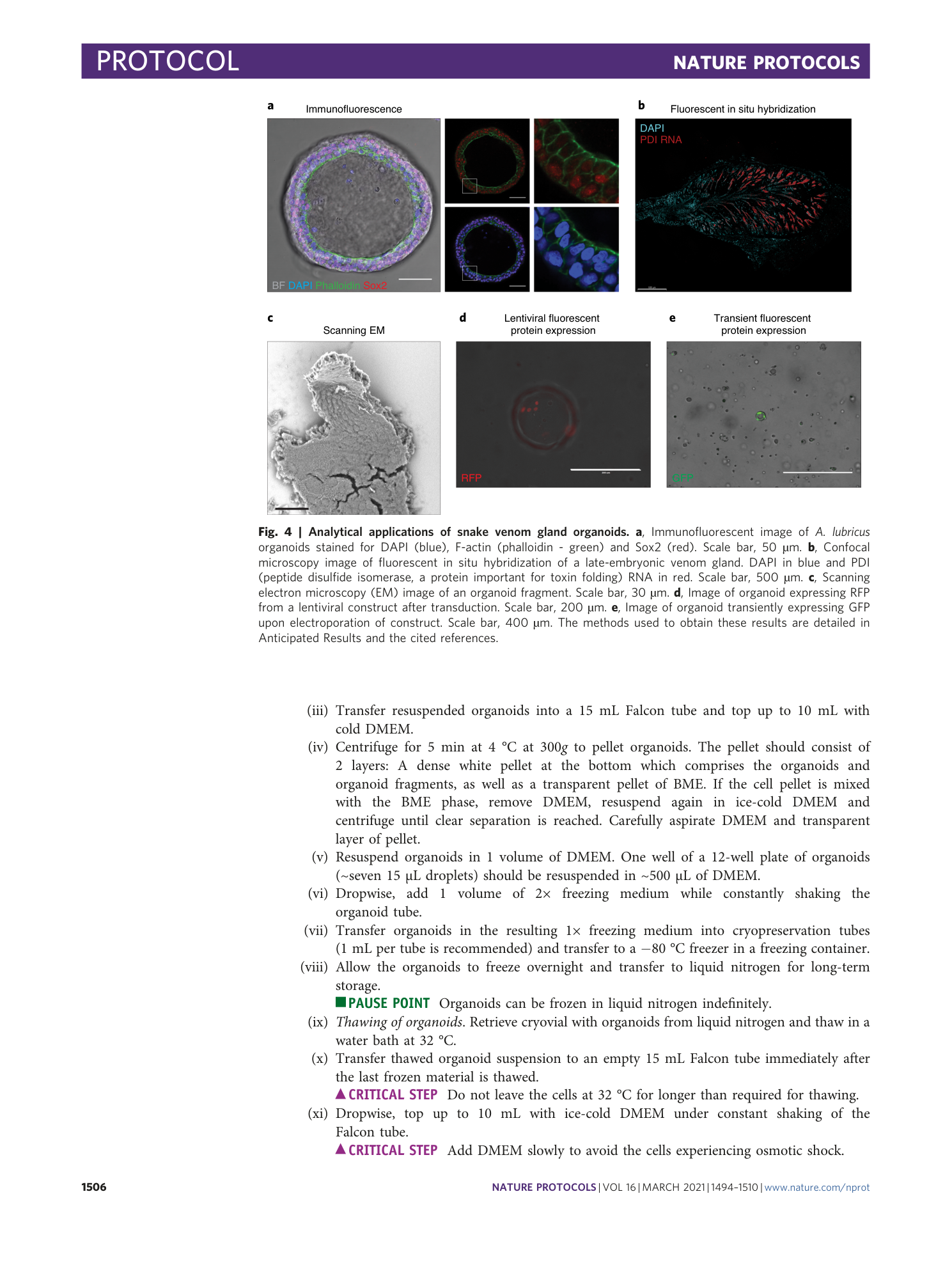 page-13