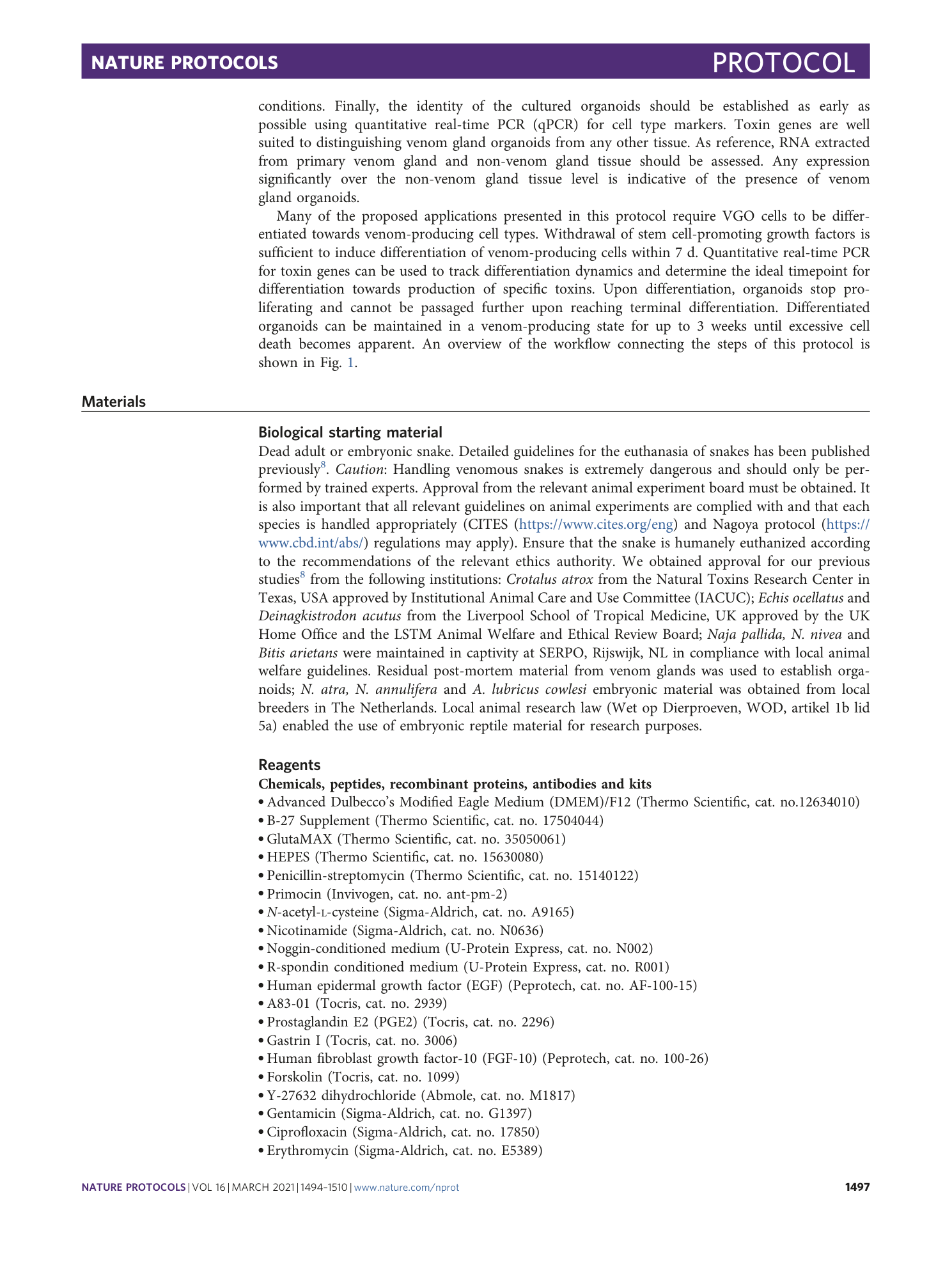 page-4