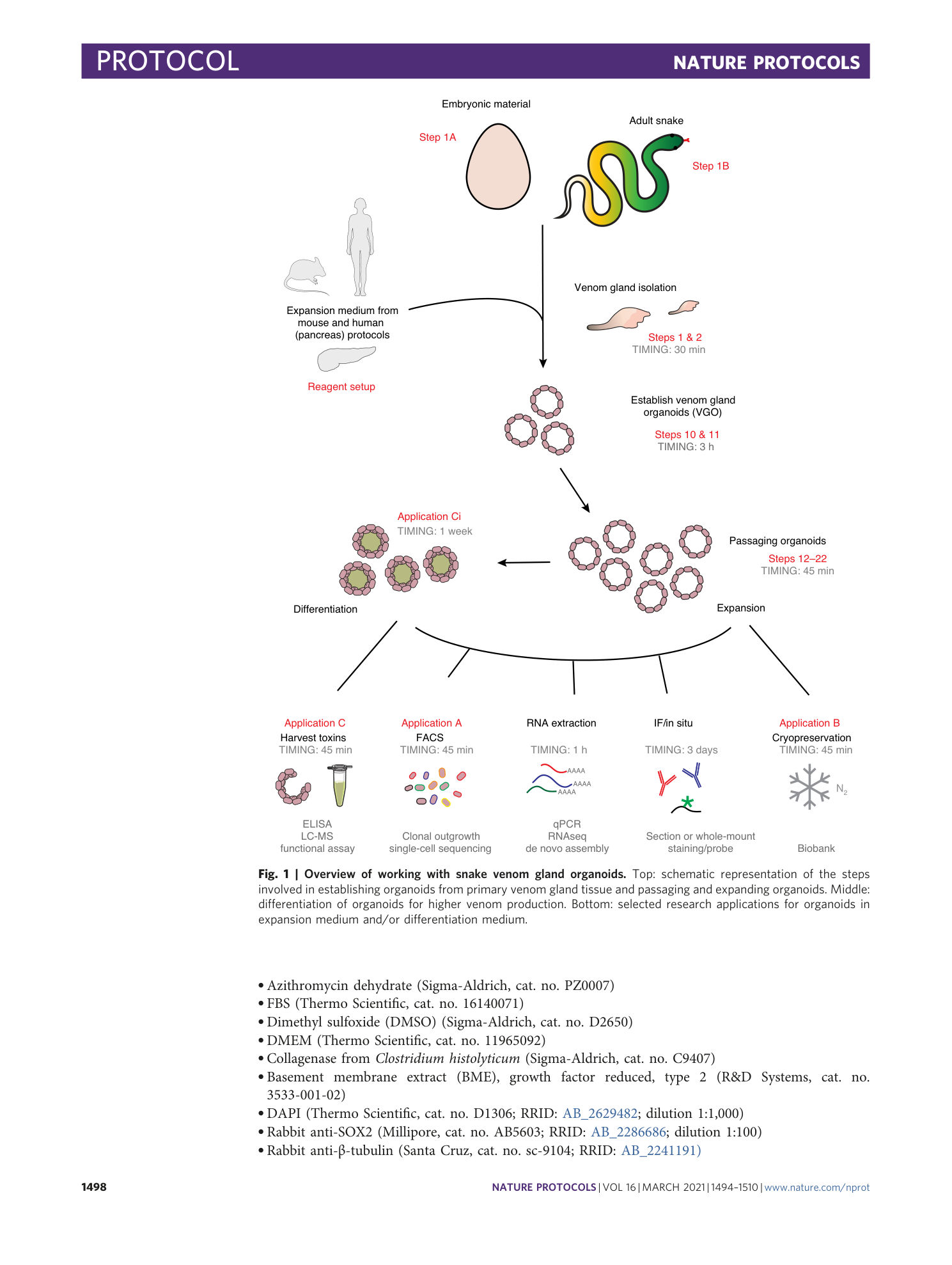 page-5