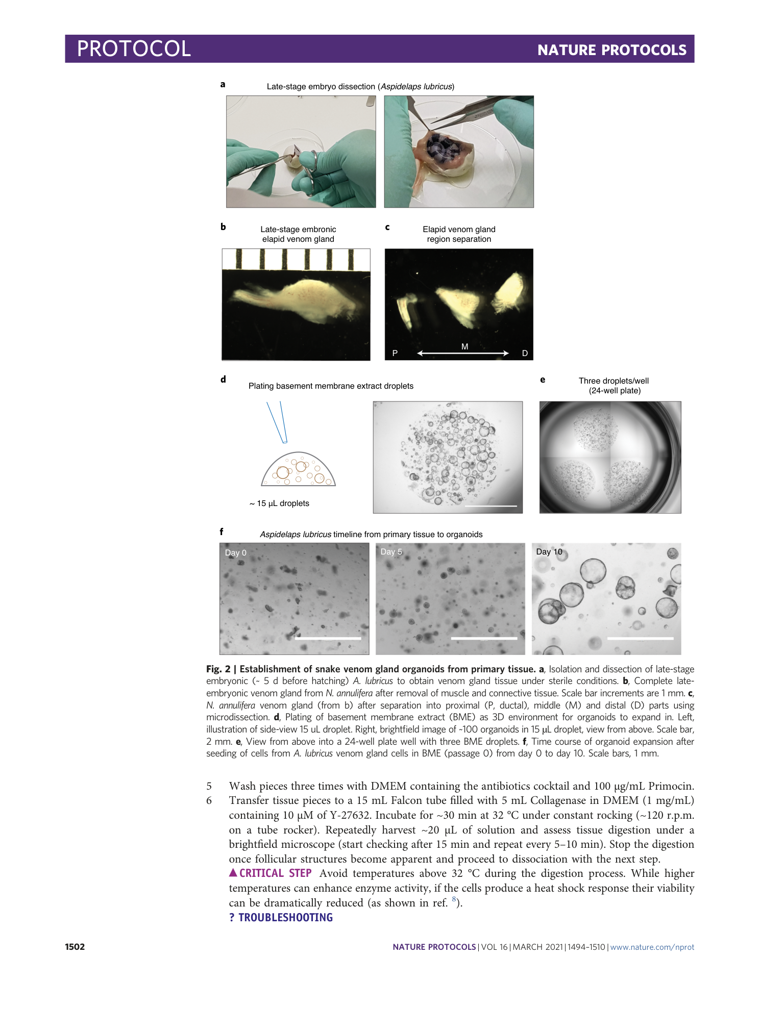 page-9