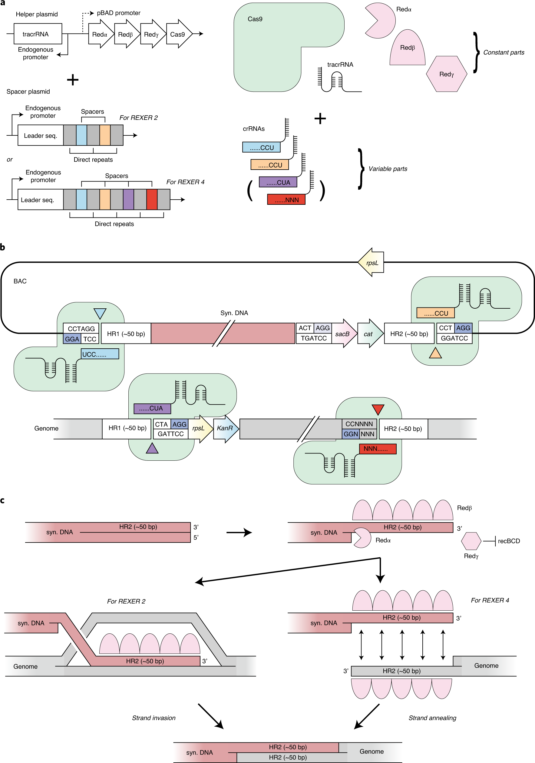 Fig. 3: Components for REXER.