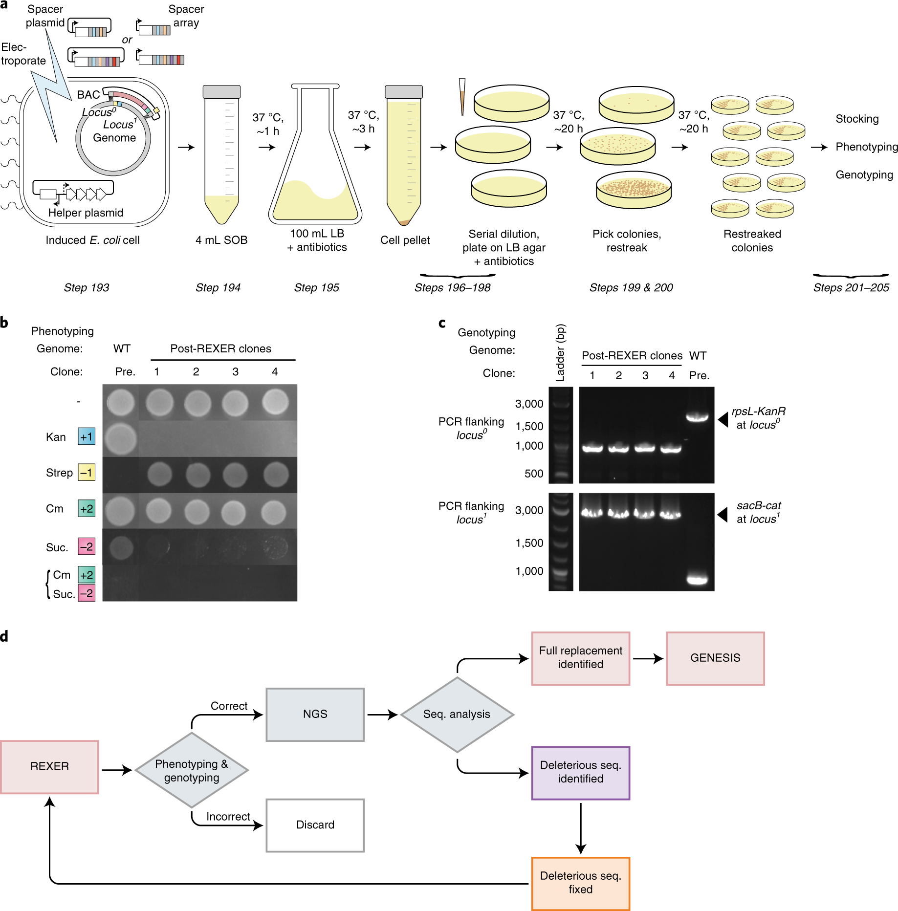 Fig. 4: REXER workflow.