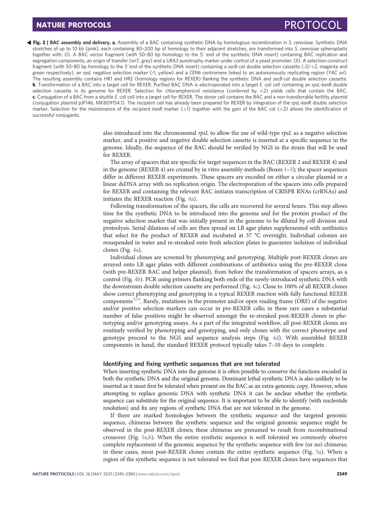page-5