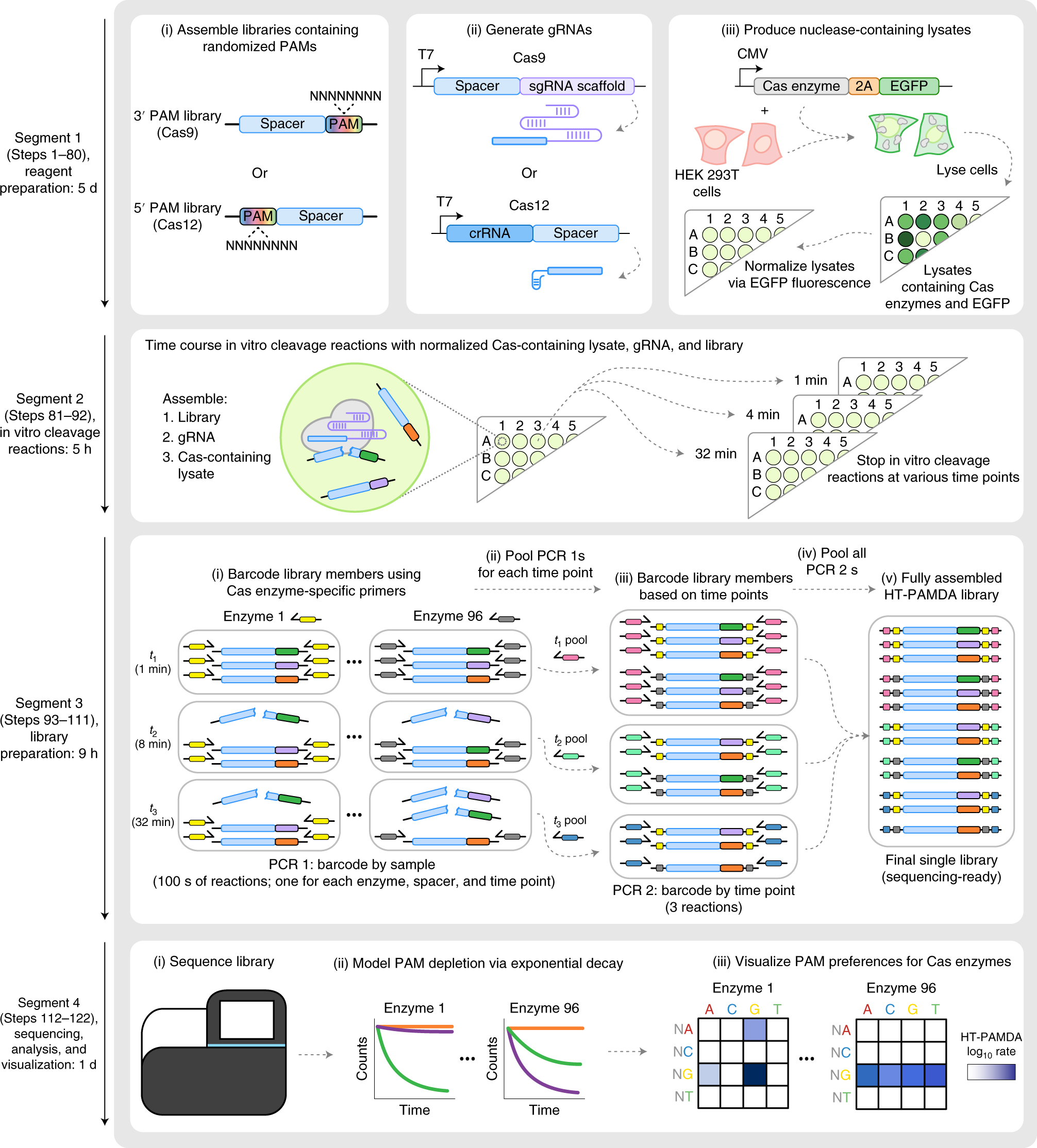 Fig. 2: Overview of HT-PAMDA workflow.