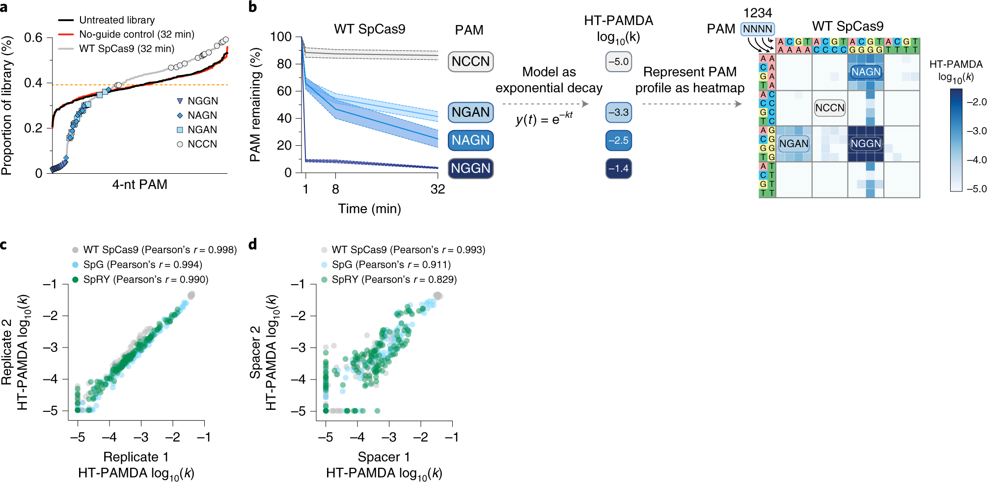 Fig. 5: Expected results of an HT-PAMDA experiment.