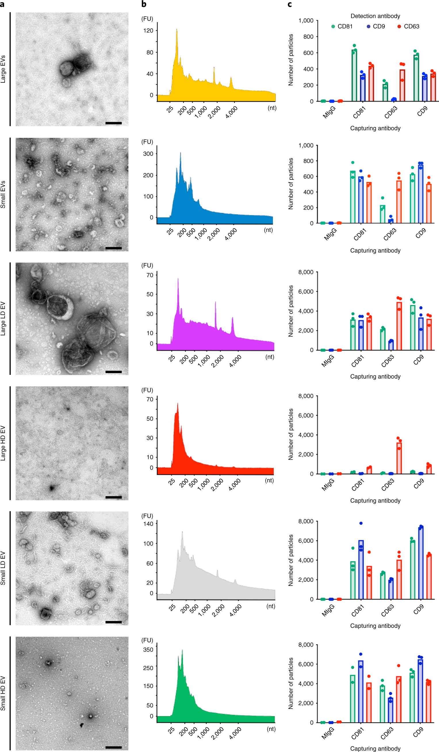 Fig. 3: EV characterization (Step 40).