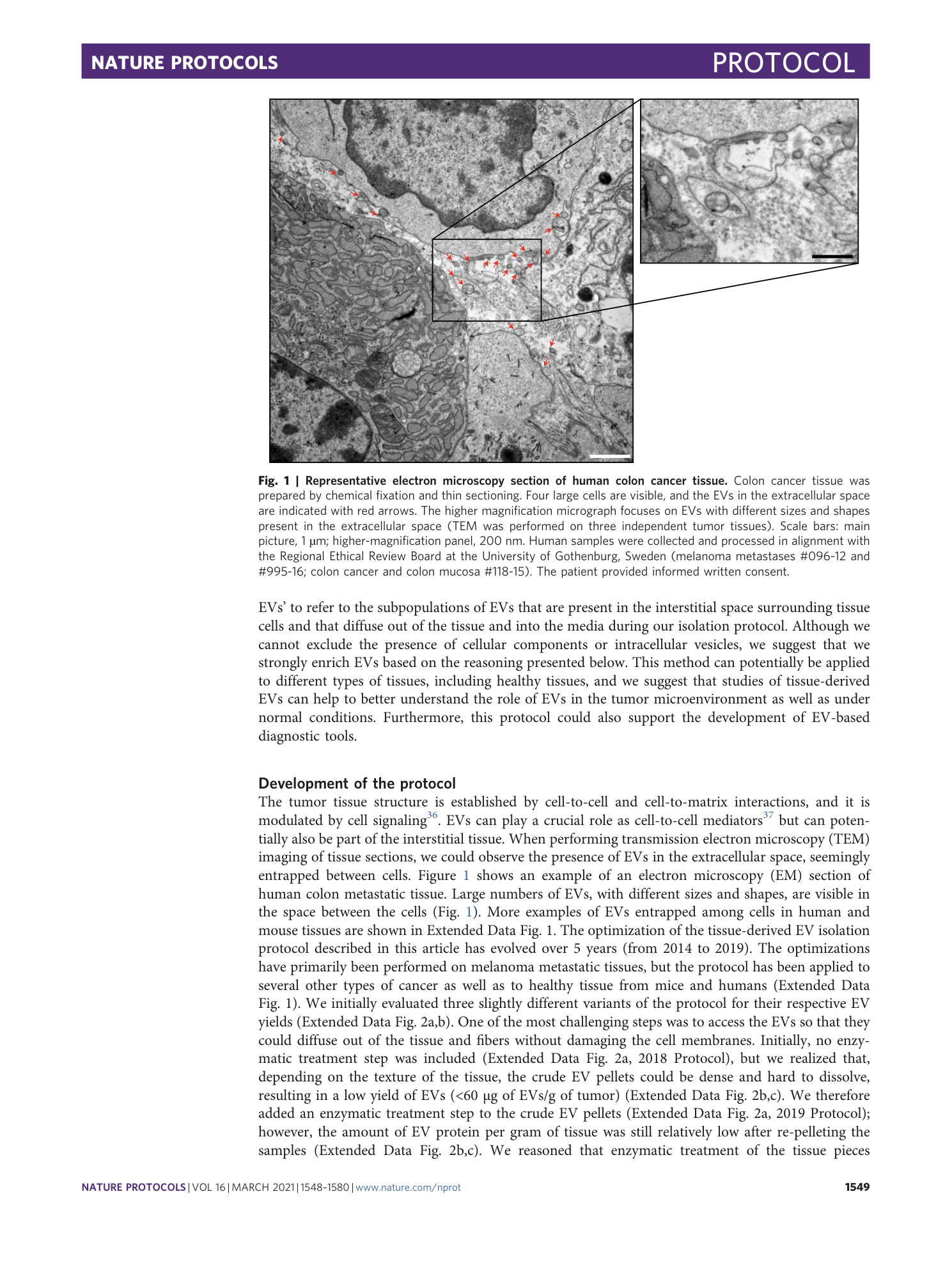 page-2