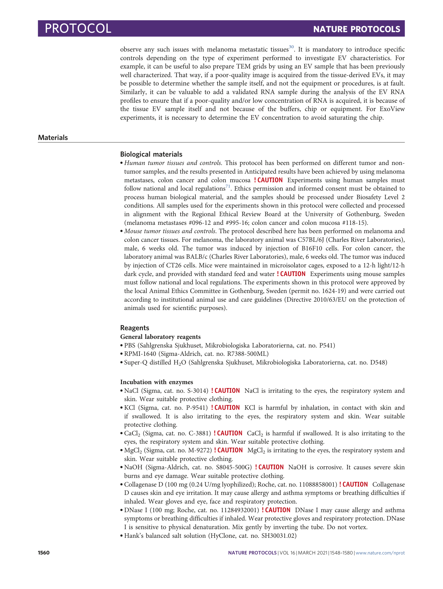 page-13