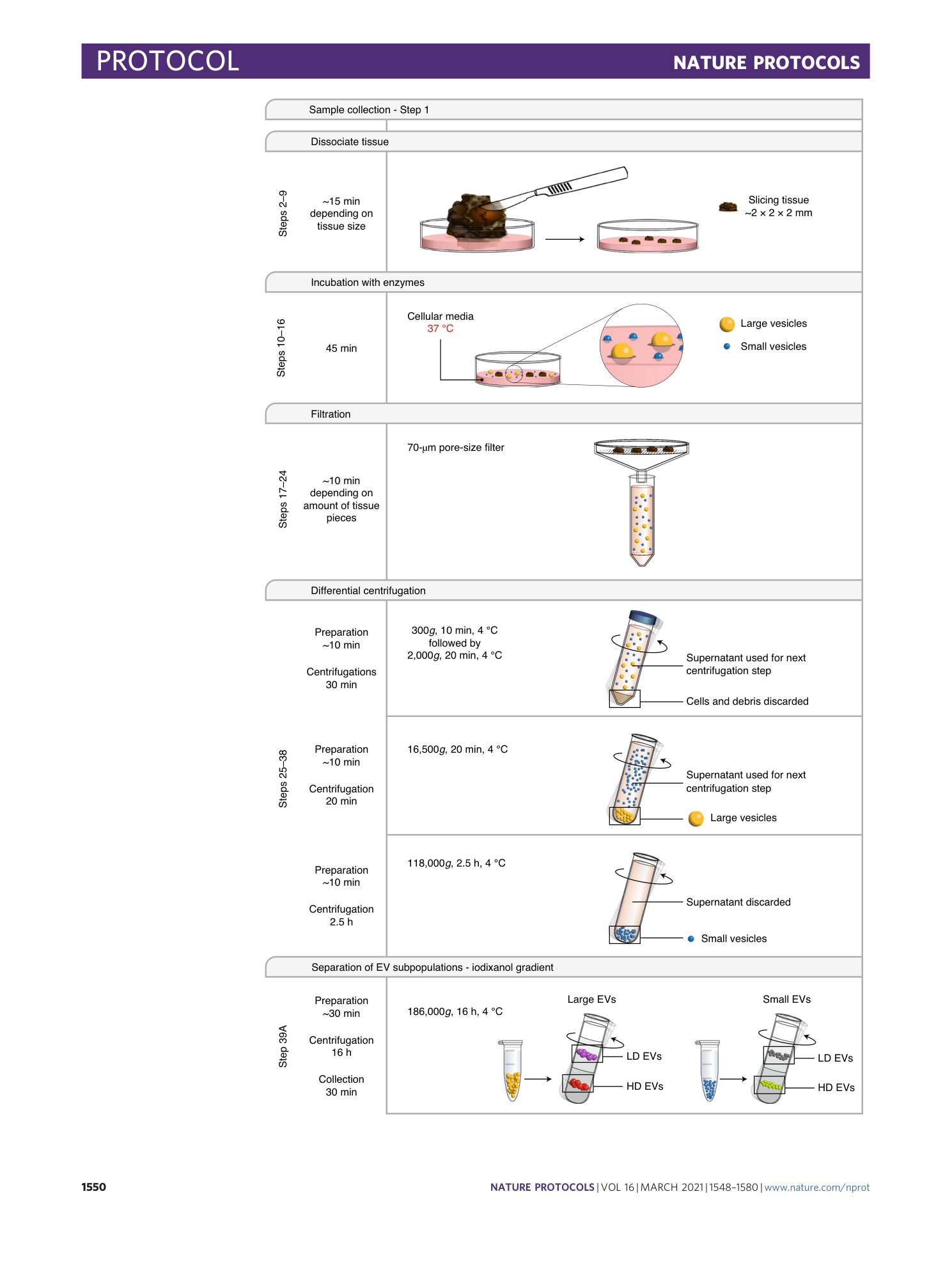 page-3
