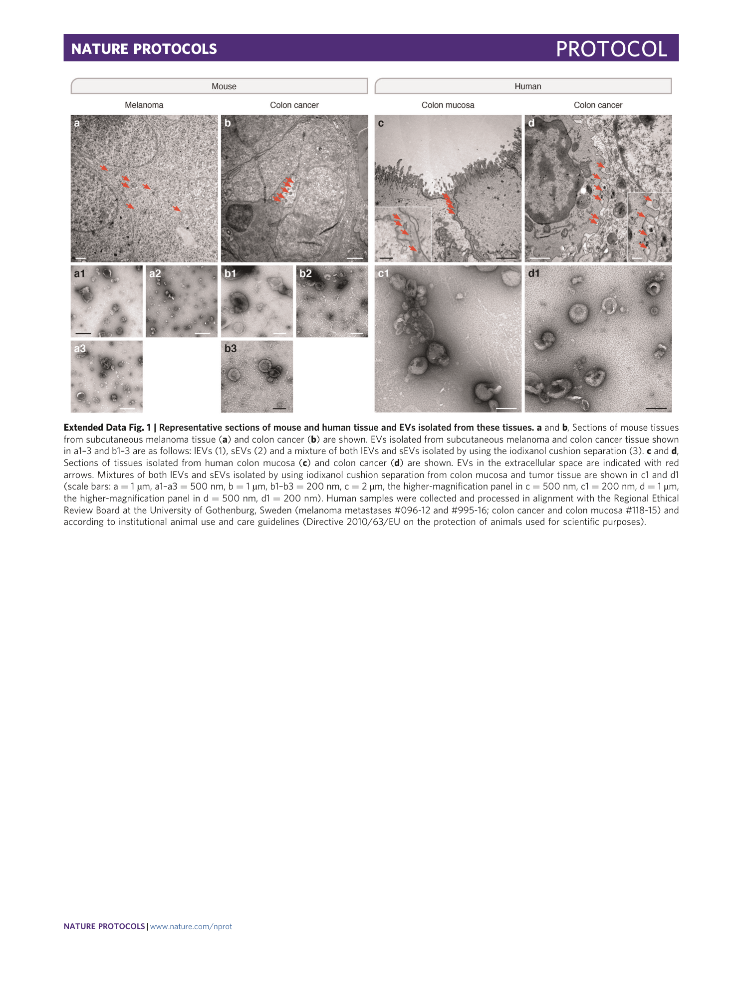 page-34